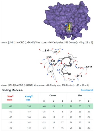 Chemistry 06 00051 i032