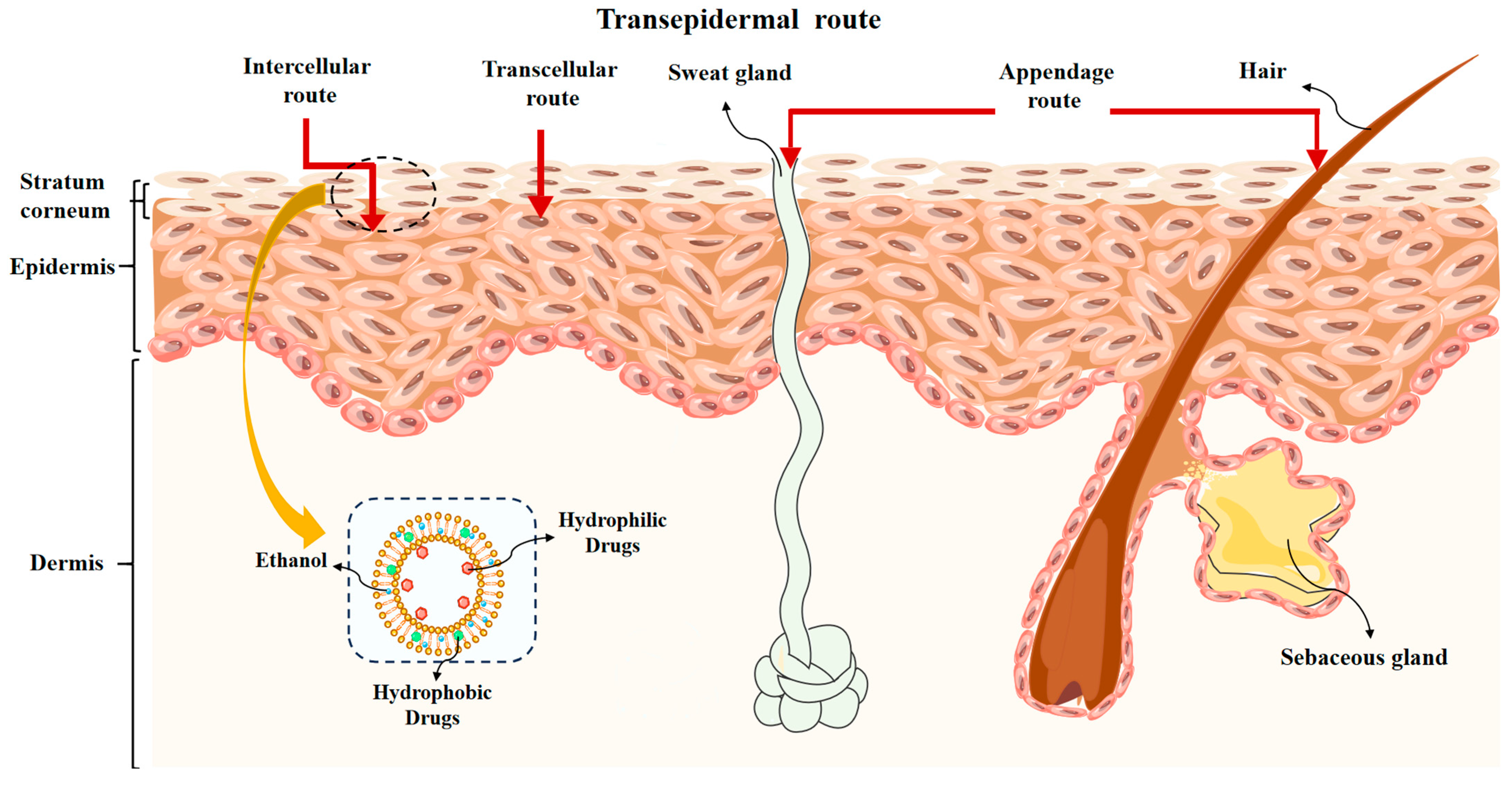 Chemistry 06 00058 g002