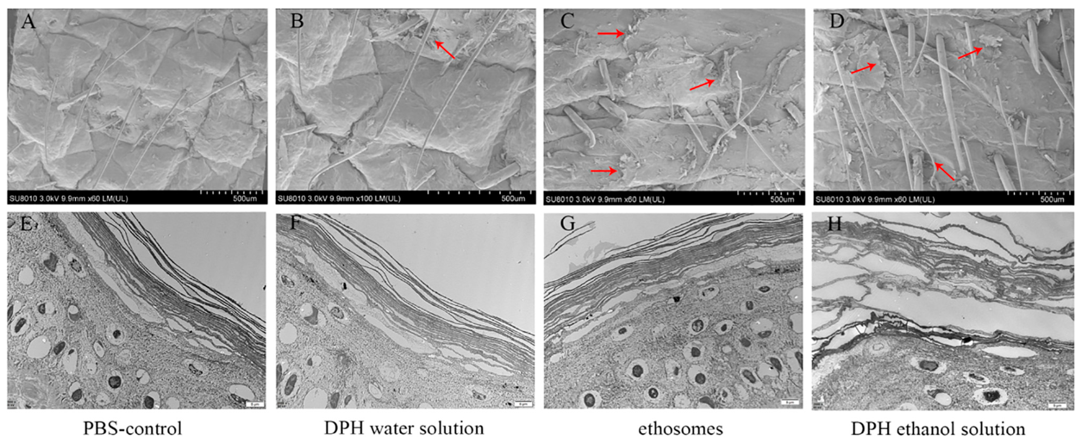Chemistry 06 00058 g004
