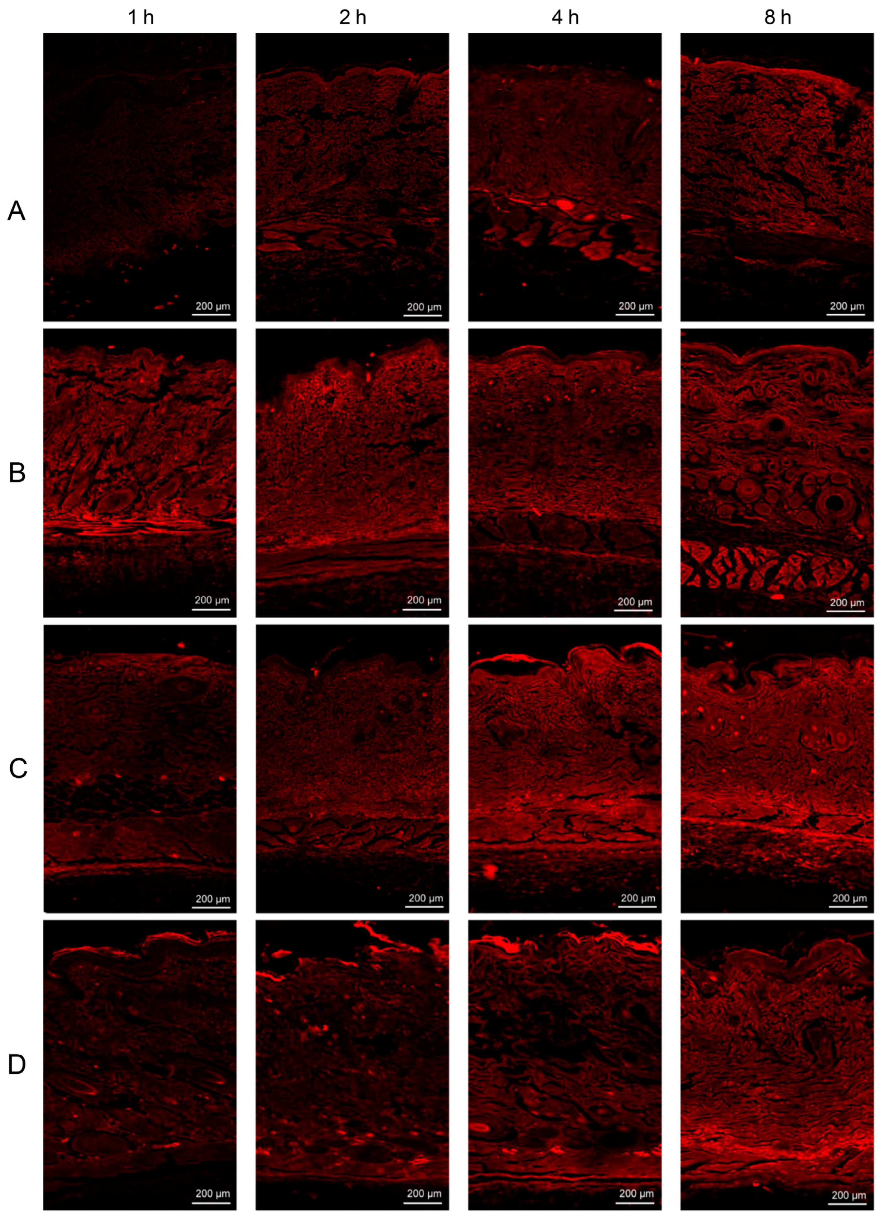 Chemistry 06 00058 g005