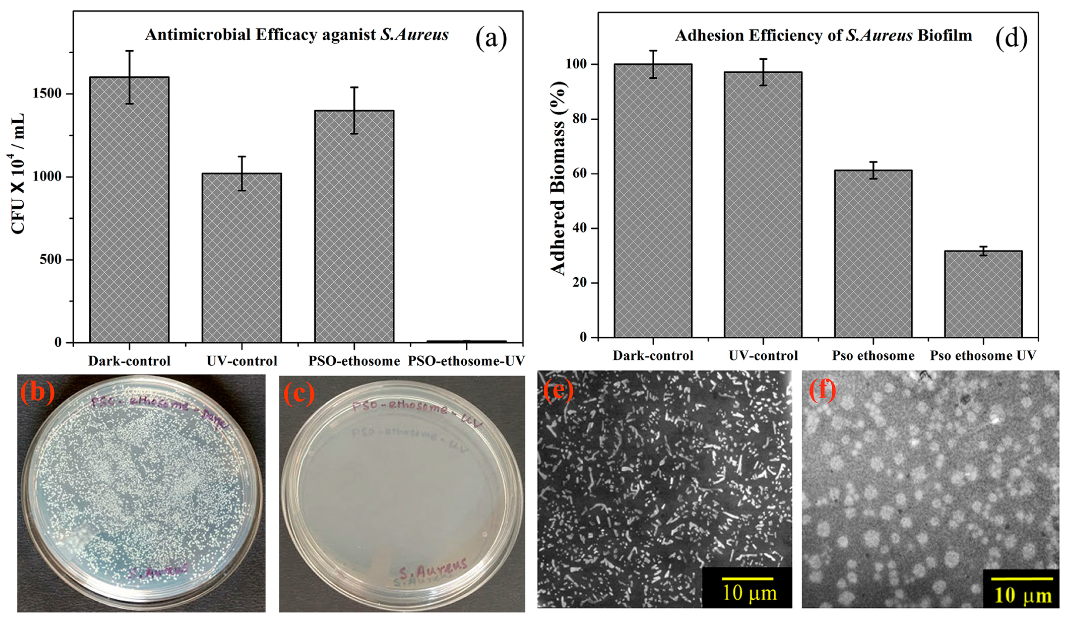 Chemistry 06 00058 g006