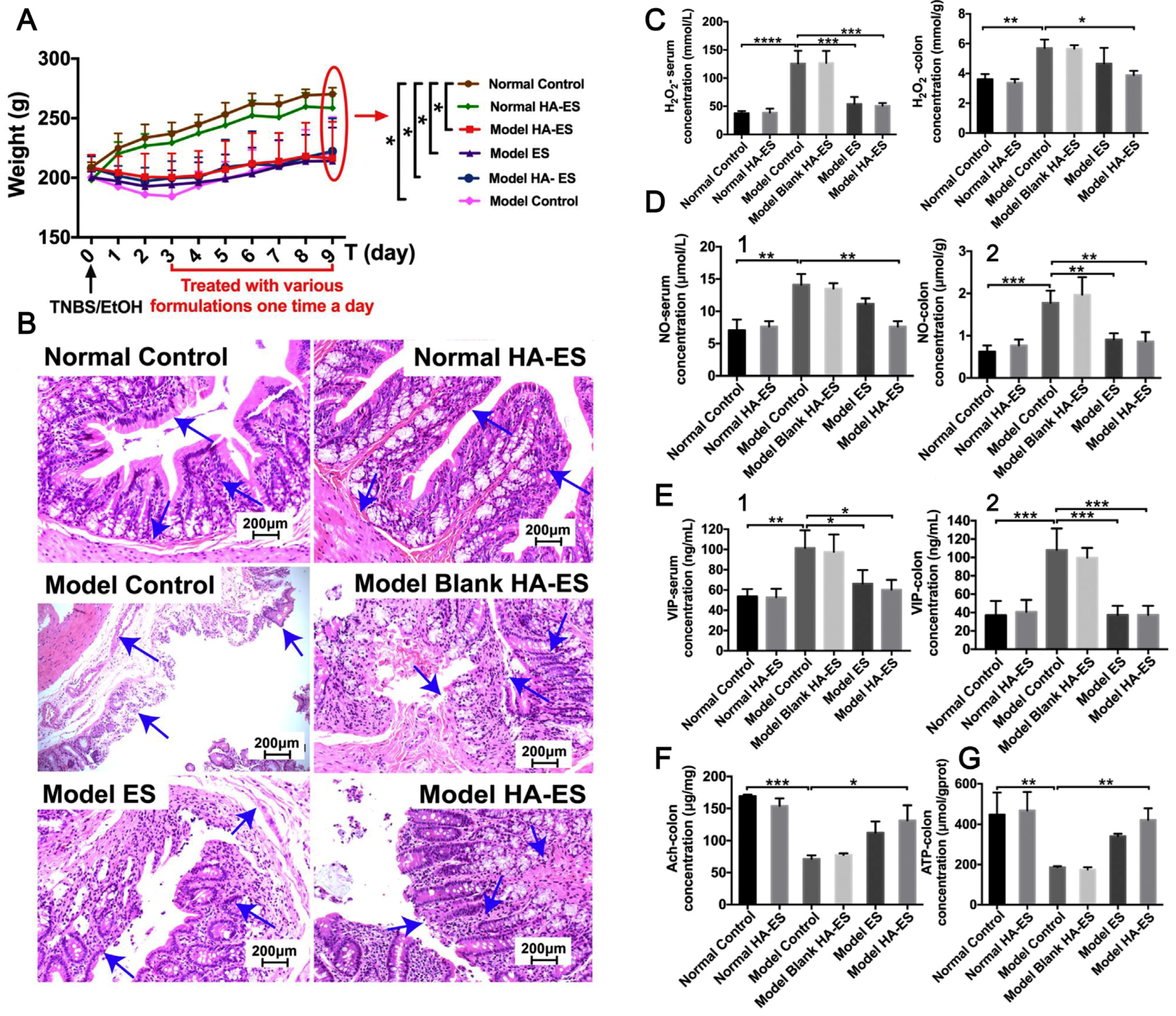 Chemistry 06 00058 g009