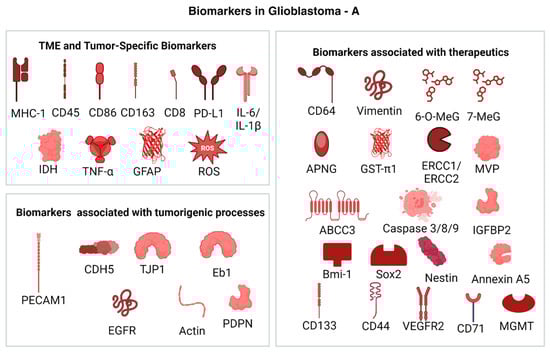 Chemistry 06 00060 g005a
