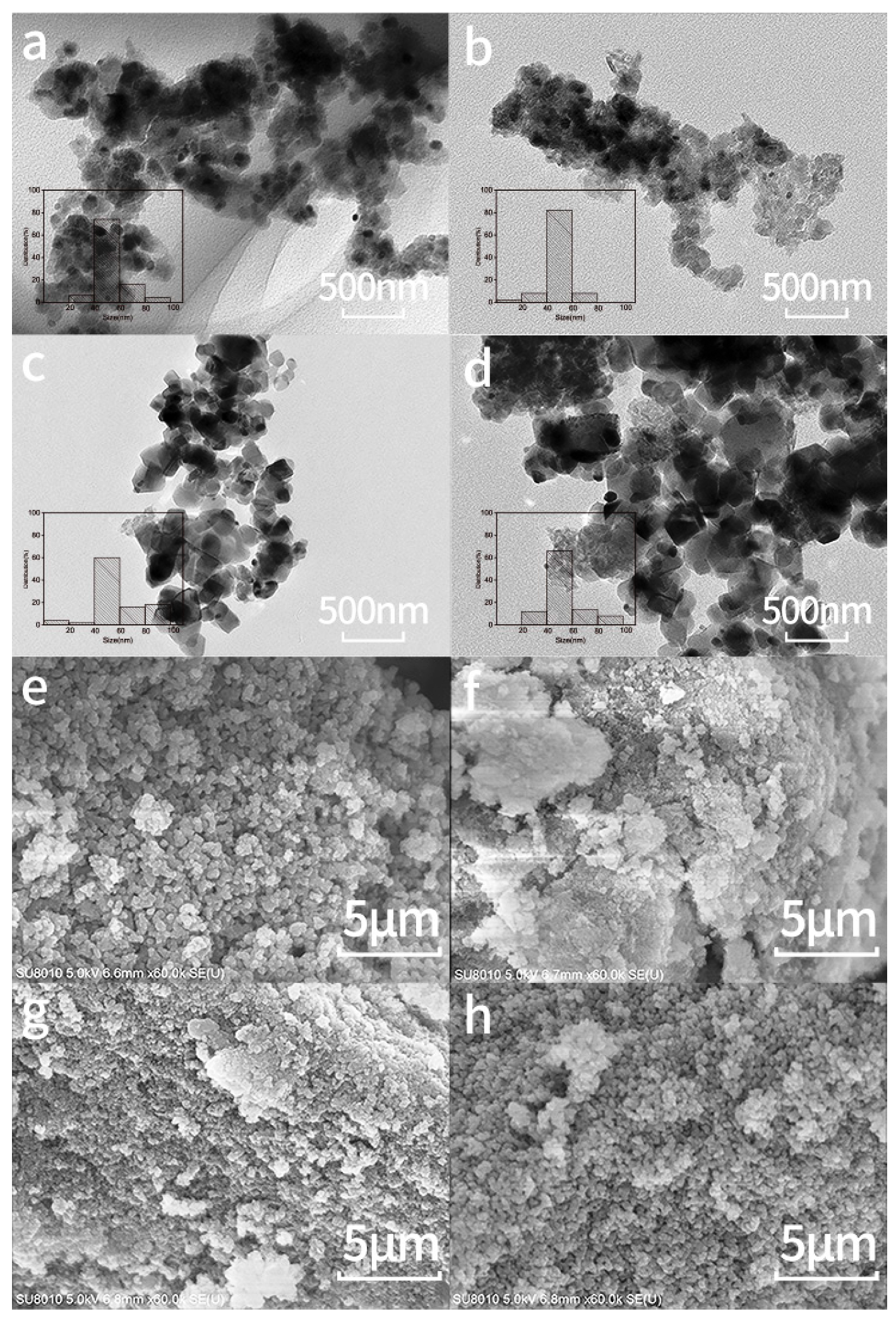 Chemistry 06 00098 g004