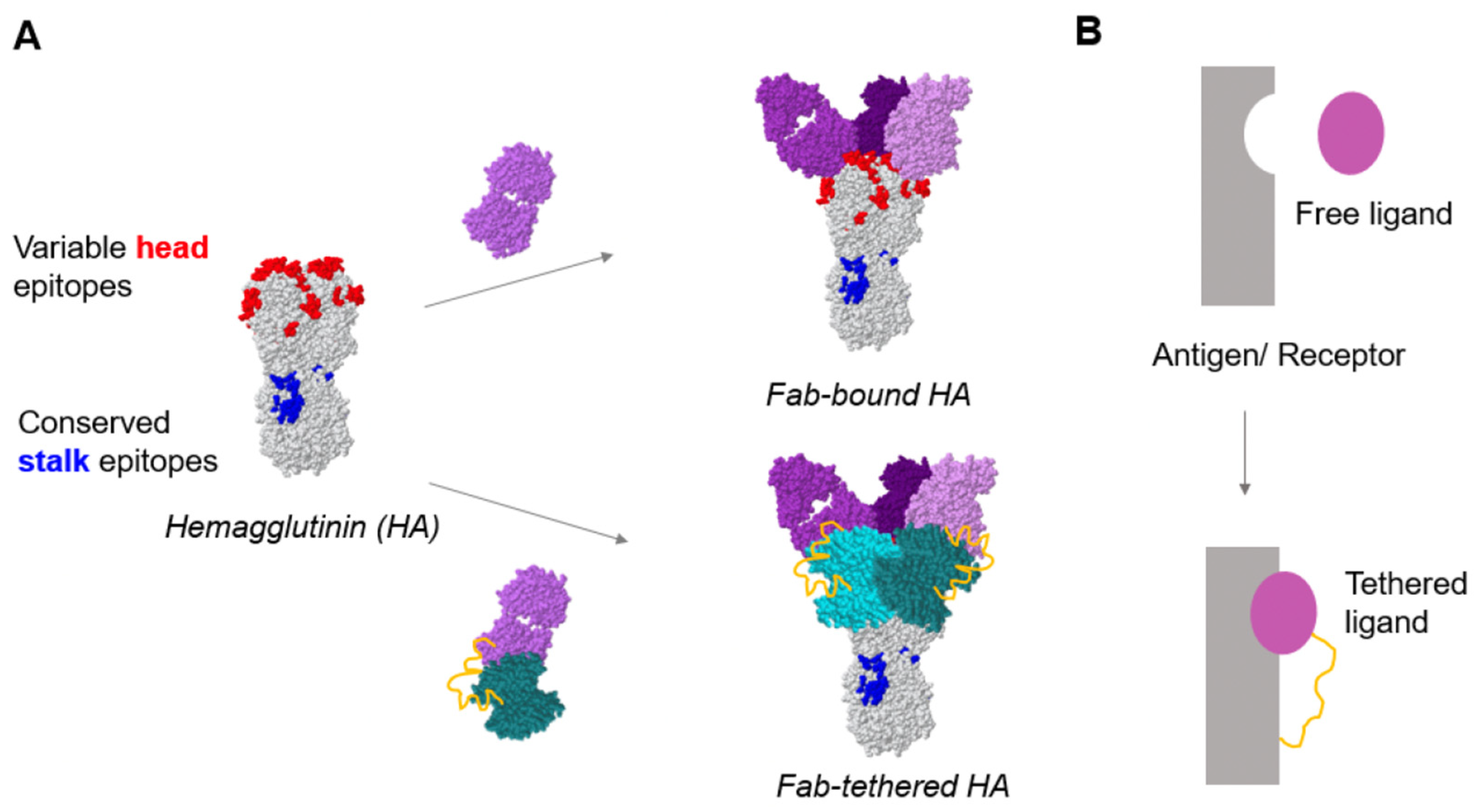 Chemistry 07 00012 g001