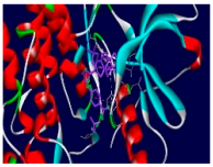 Chemistry 07 00036 i012