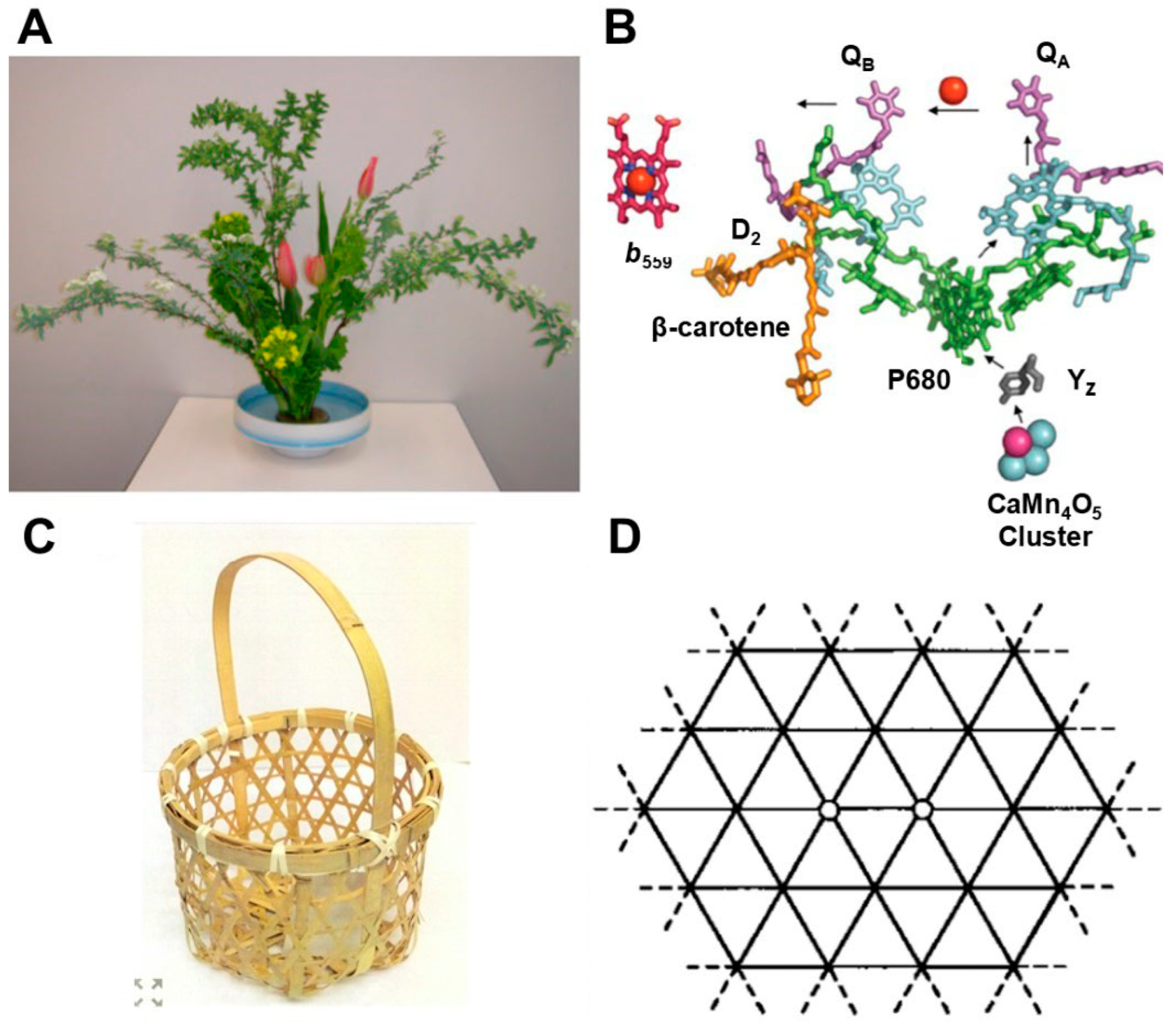Chemistry 07 00038 g002
