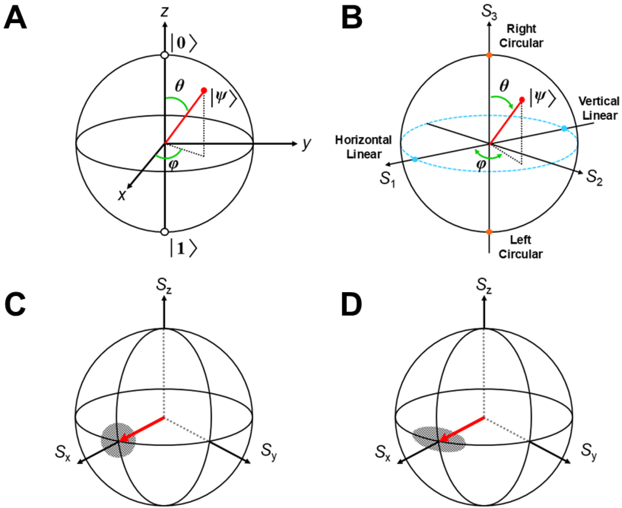 Chemistry 07 00038 g003