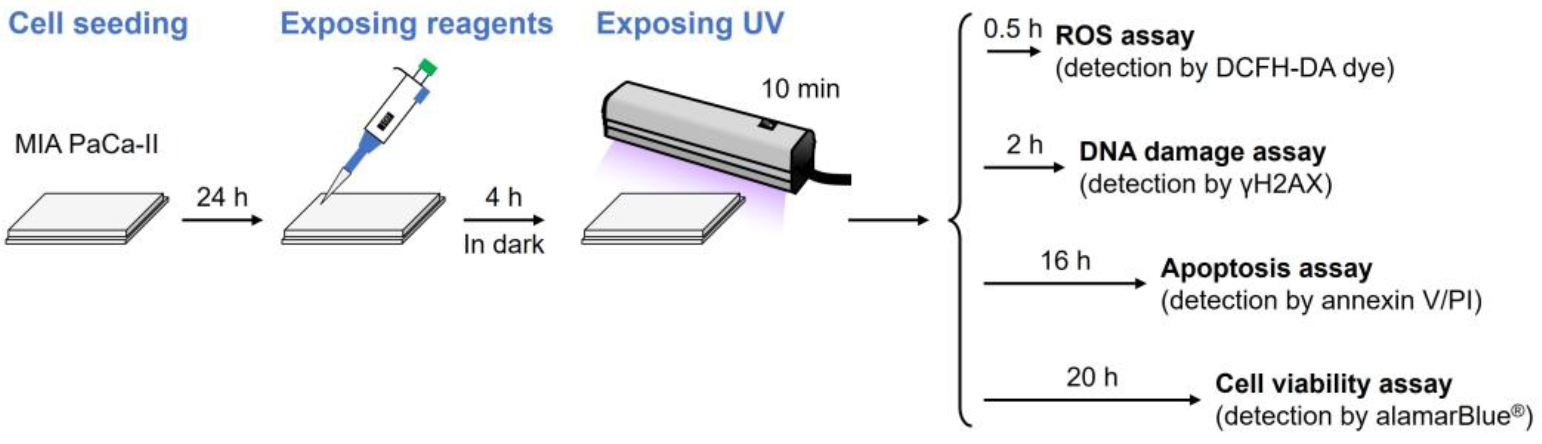 Chemistry 07 00041 g004