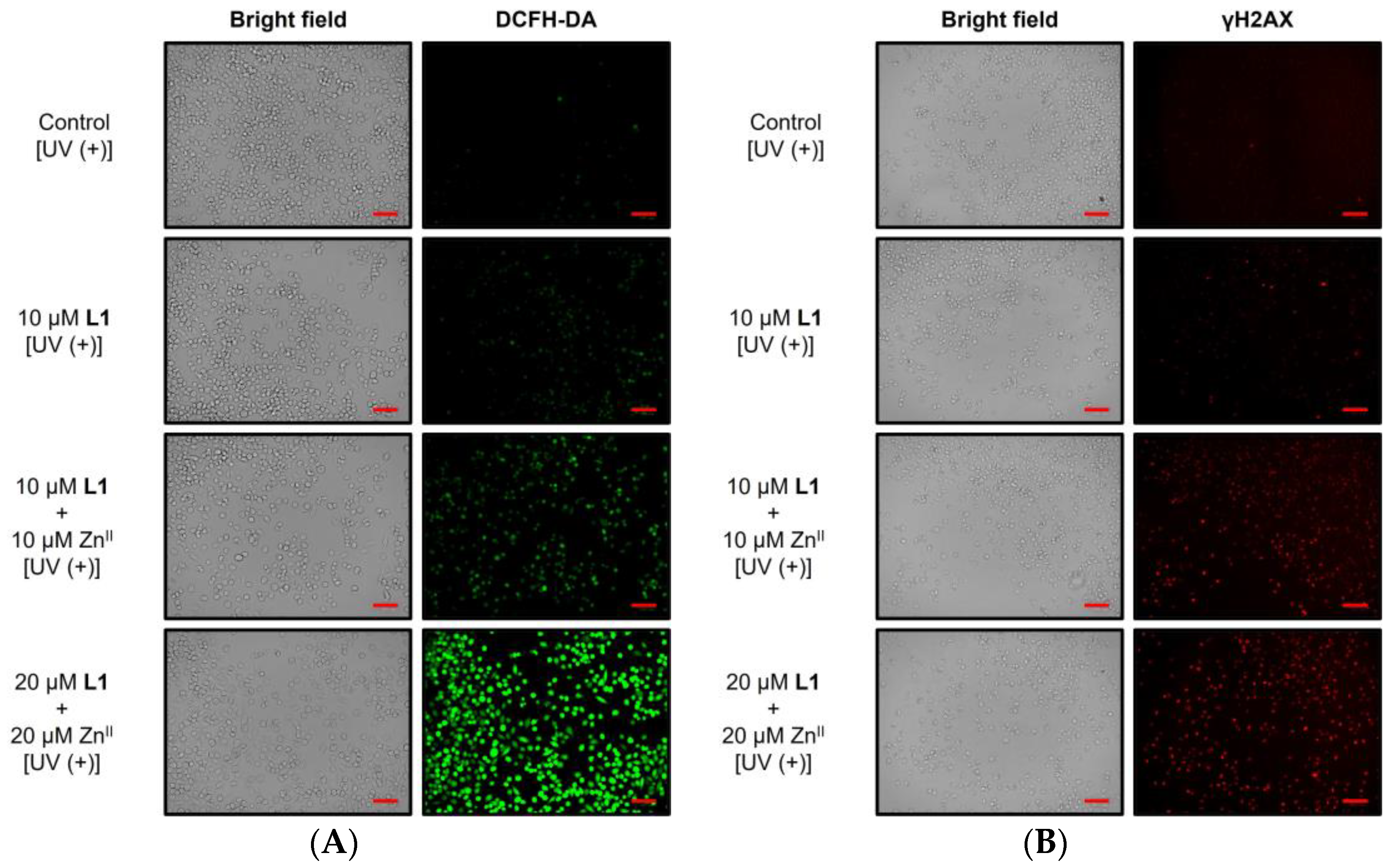 Chemistry 07 00041 g006
