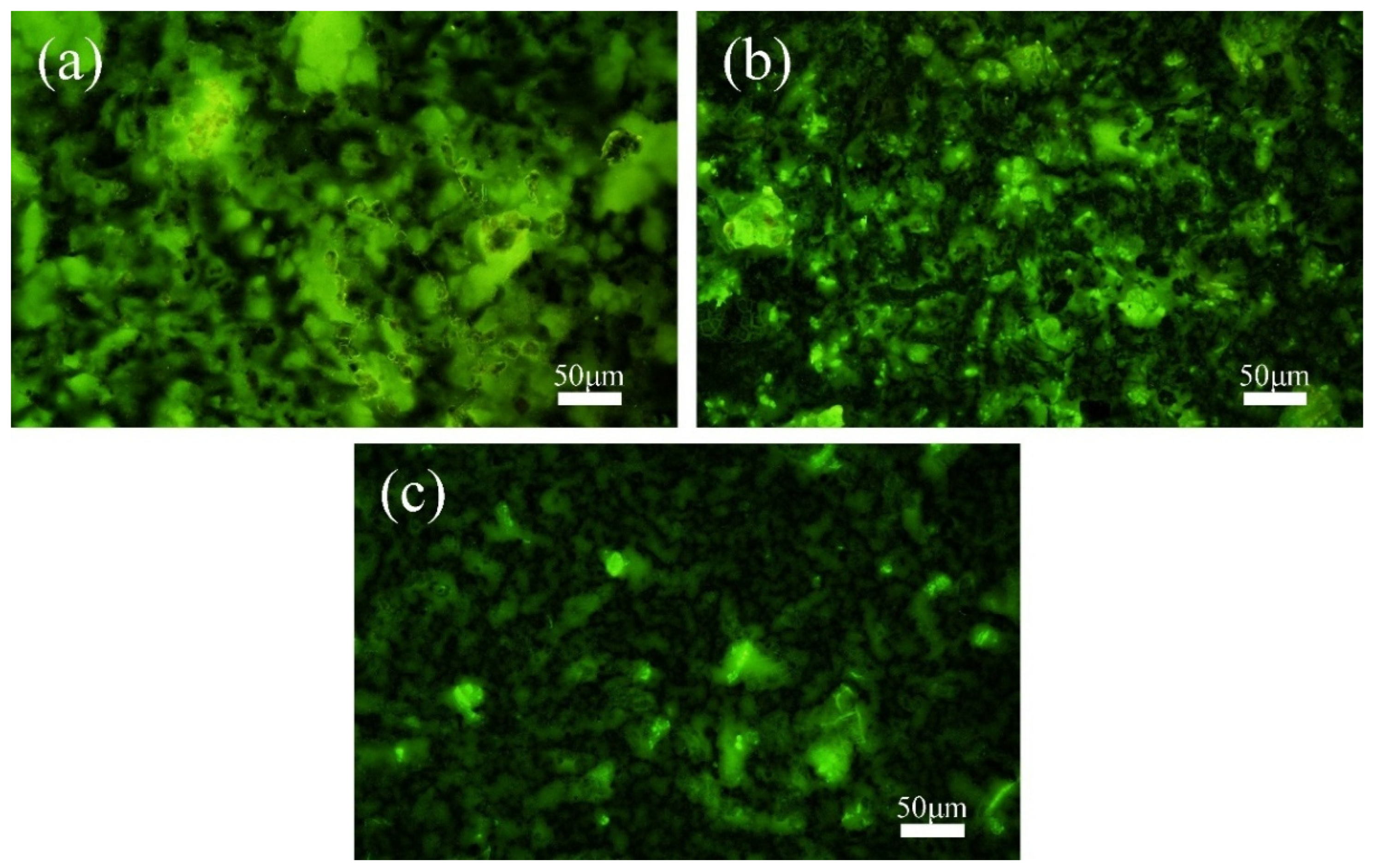 Chemistry 07 00054 g004