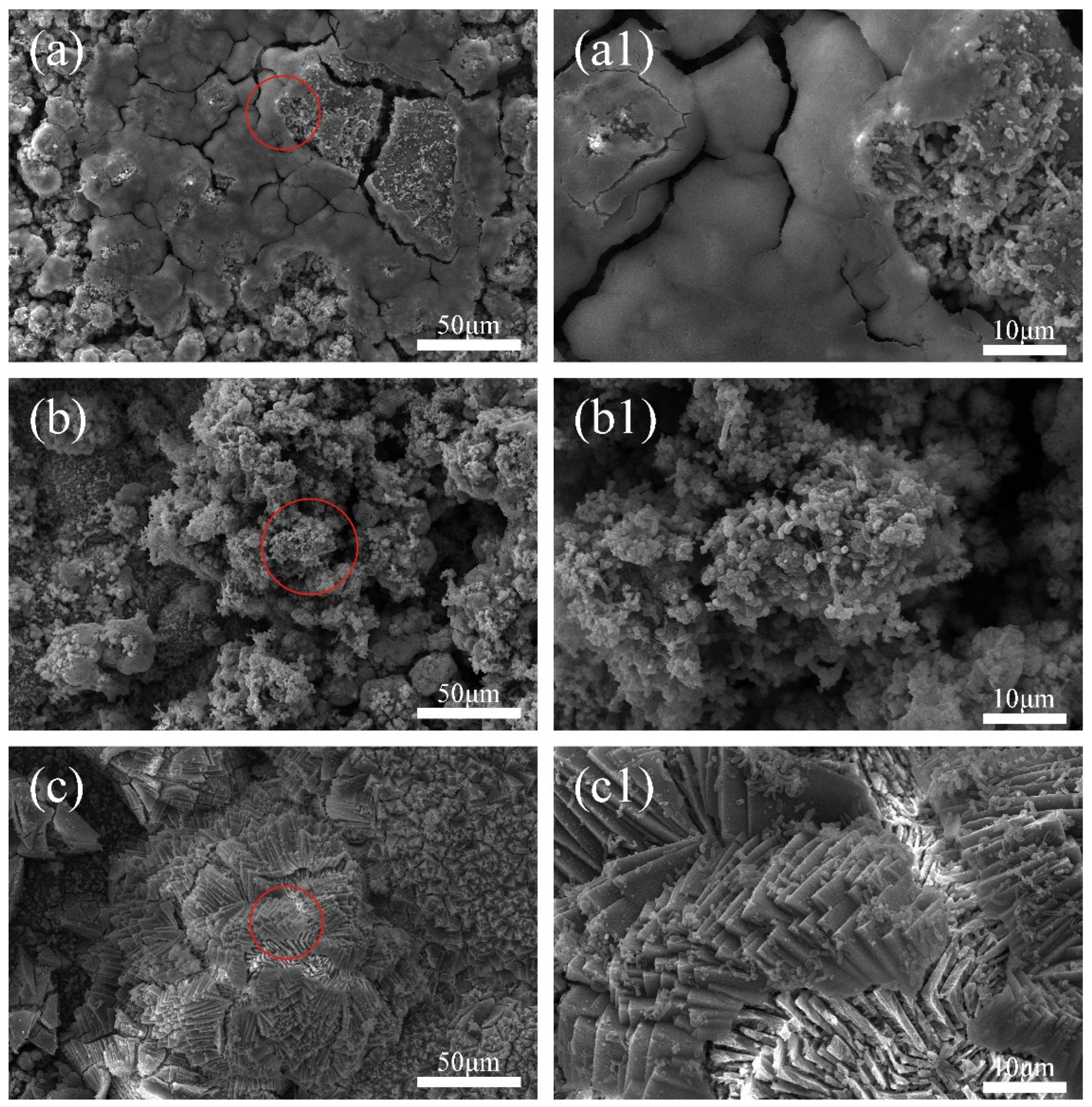 Chemistry 07 00054 g005