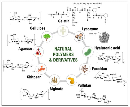 Chemistry 07 00061 g001