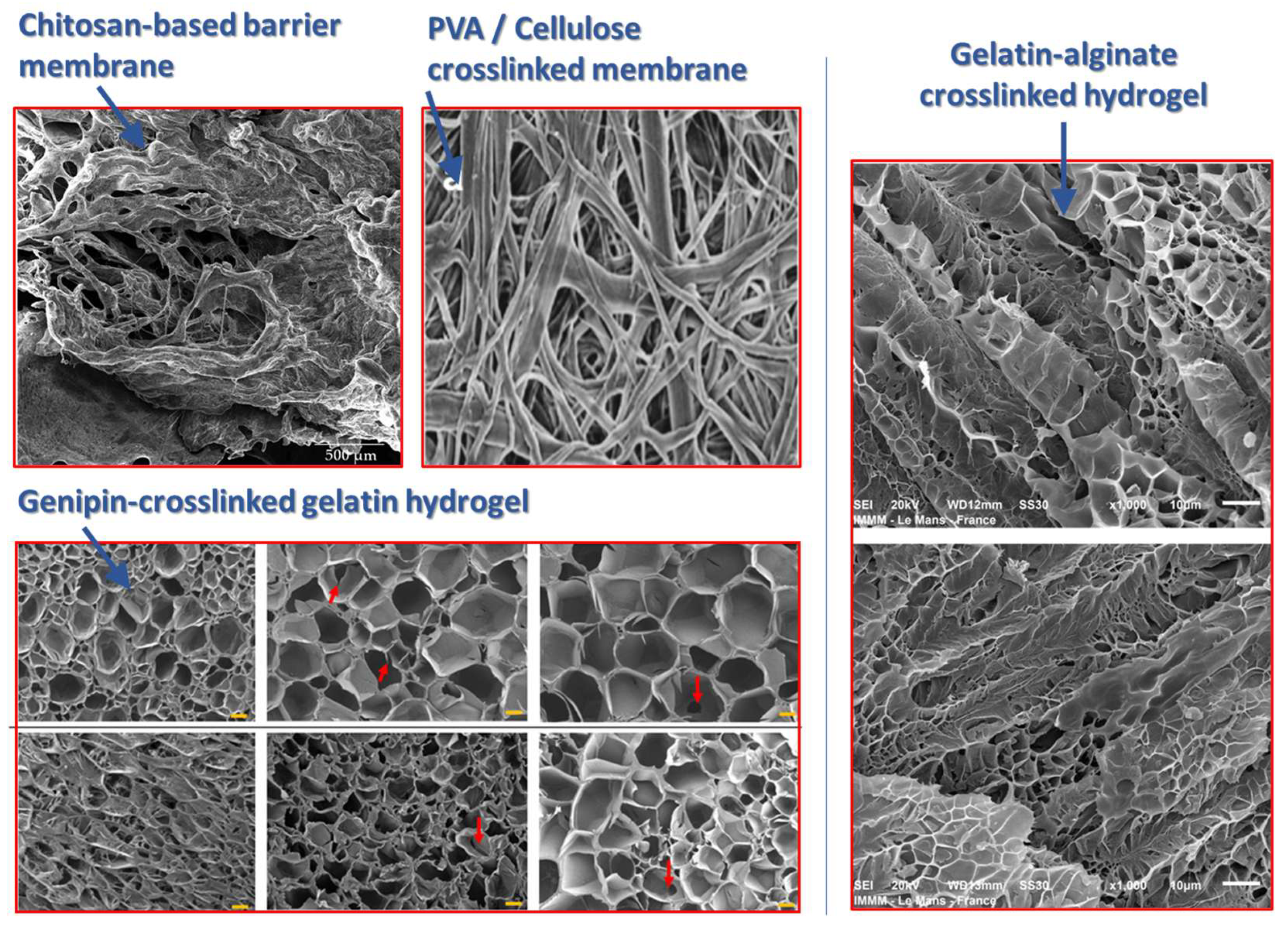Chemistry 07 00061 g002