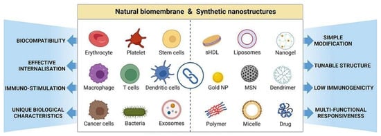 Chemistry 07 00061 g003