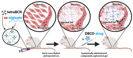 Chemistry 07 00061 g007