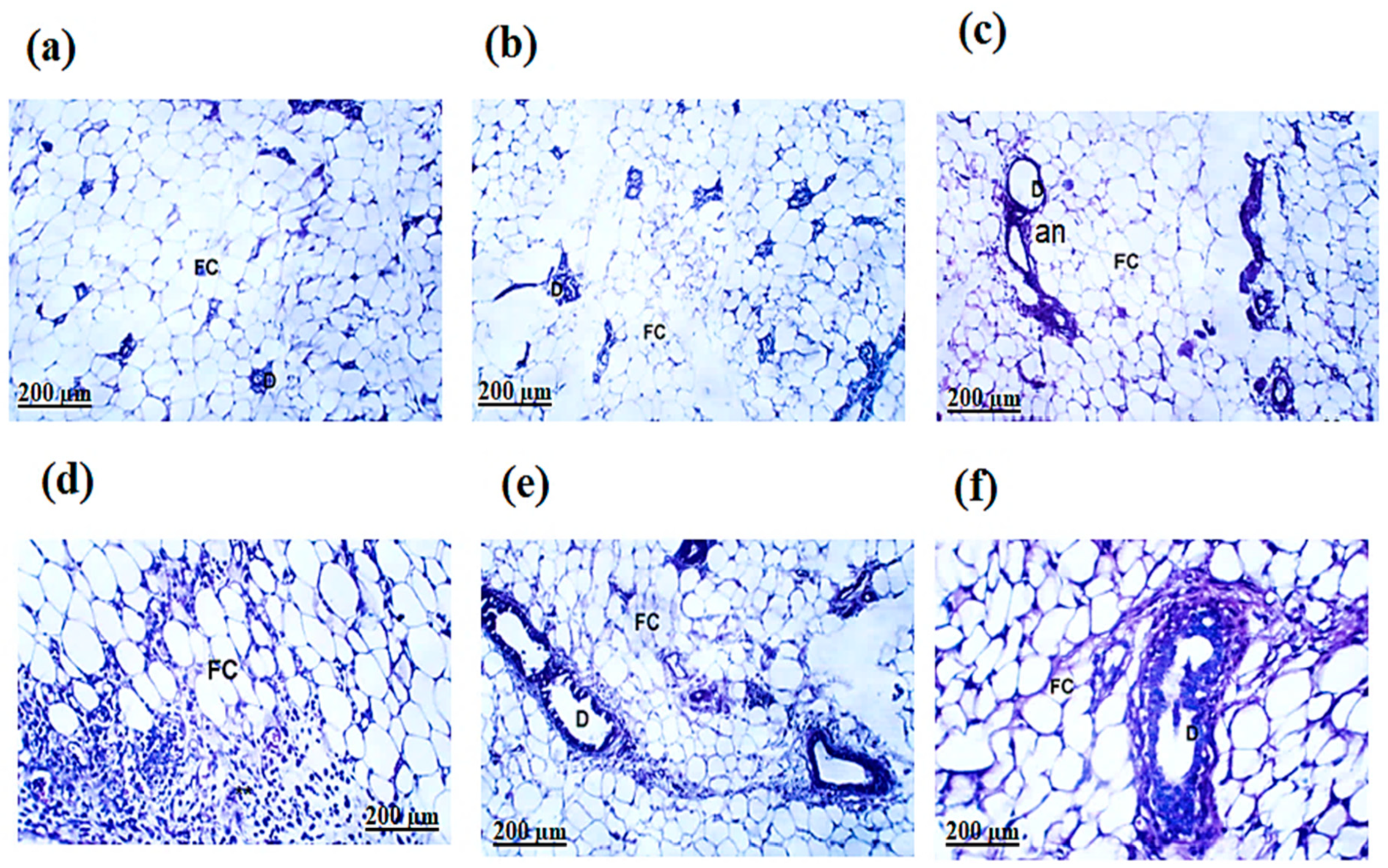 Chemistry 07 00068 g009