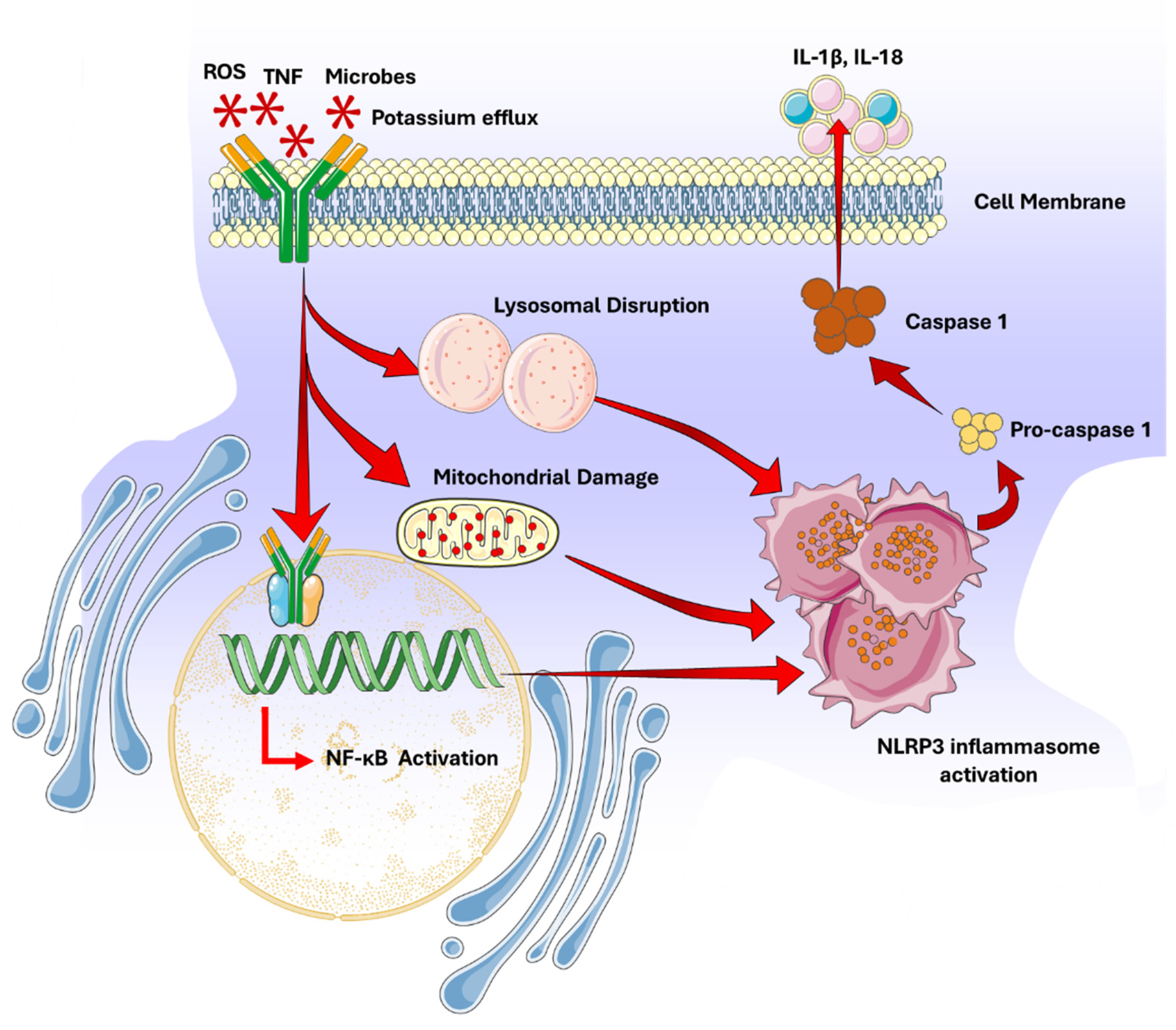 Chemistry 07 00077 g002