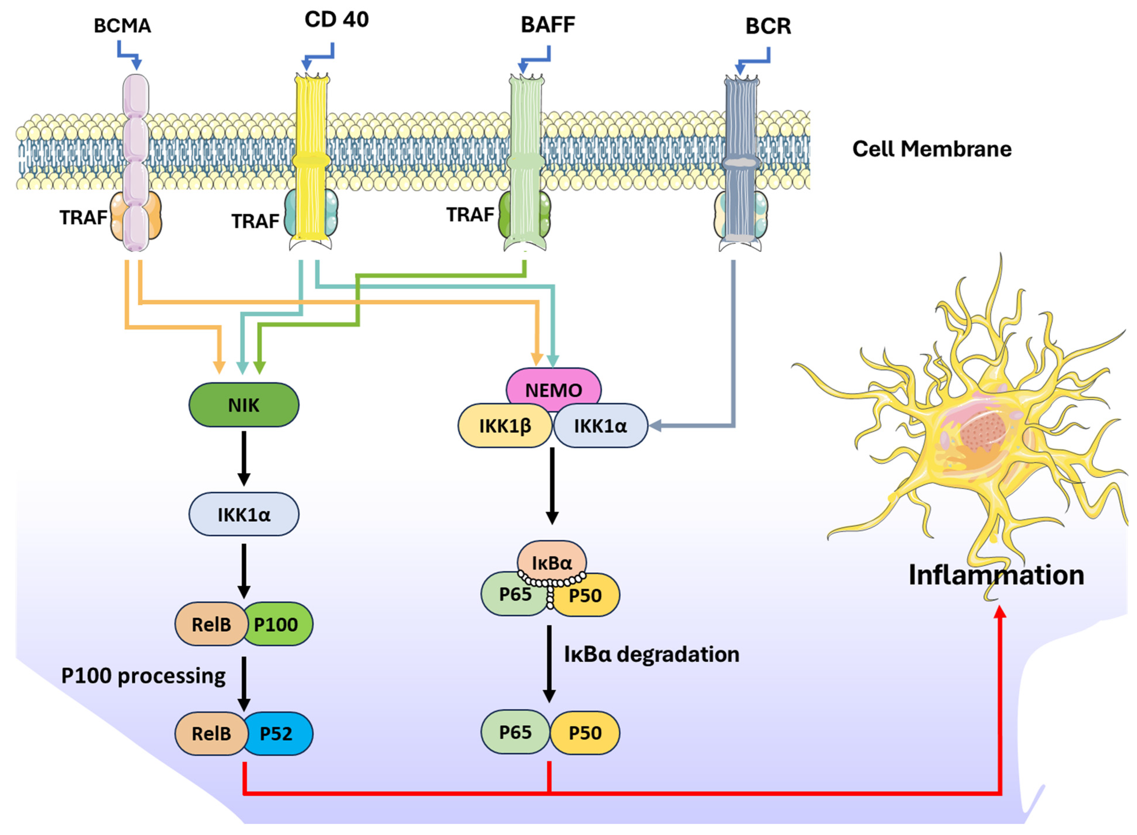 Chemistry 07 00077 g003
