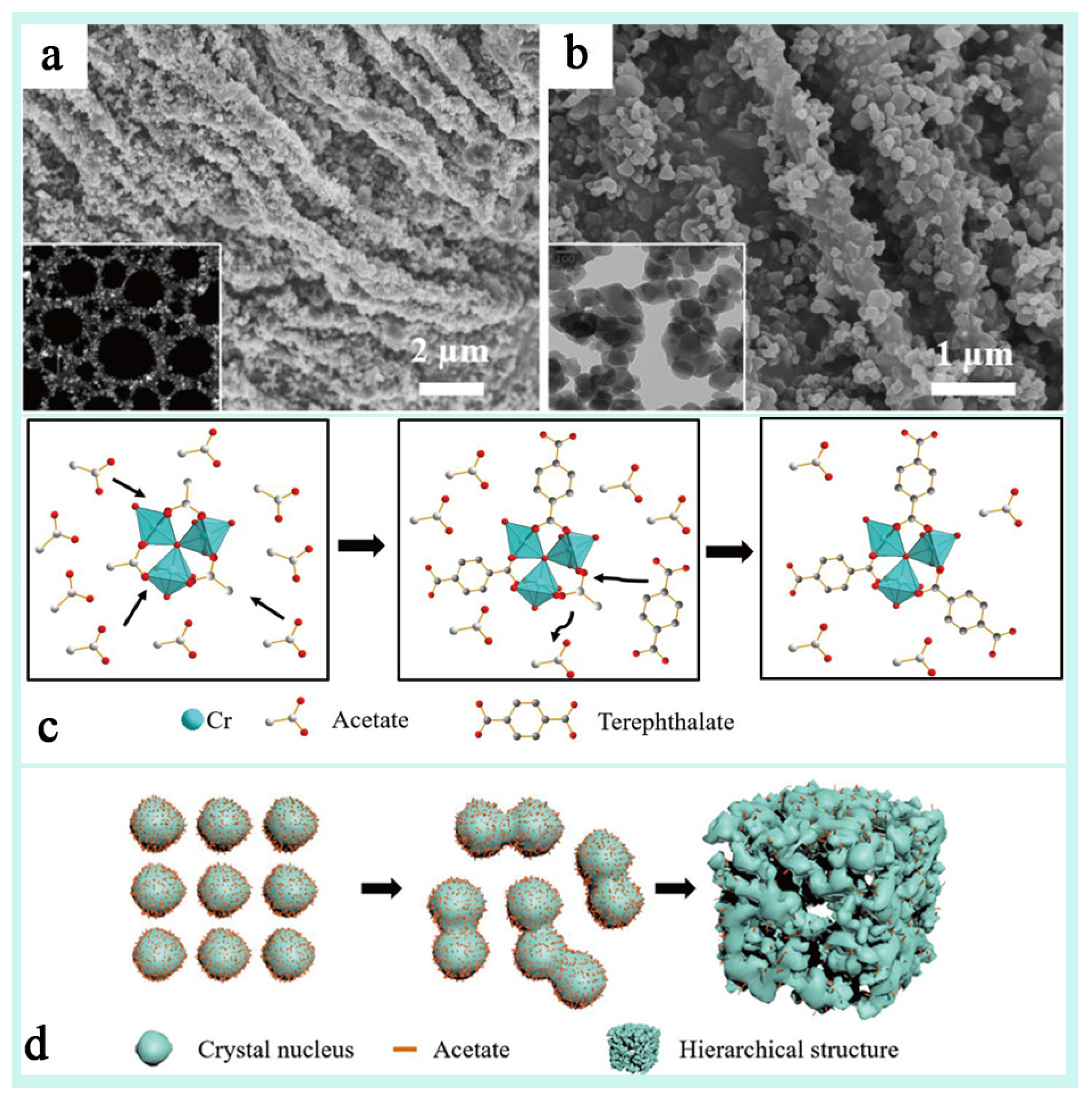 Chemistry 07 00078 g013