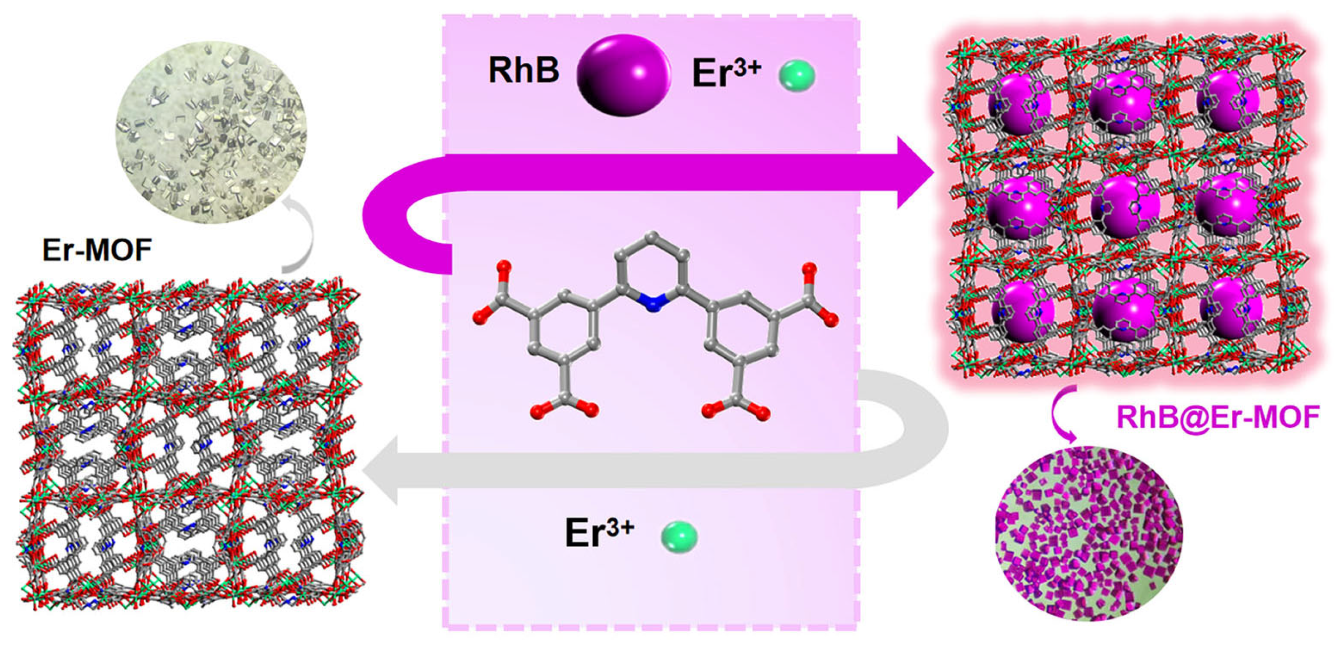 Chemistry 07 00083 g002