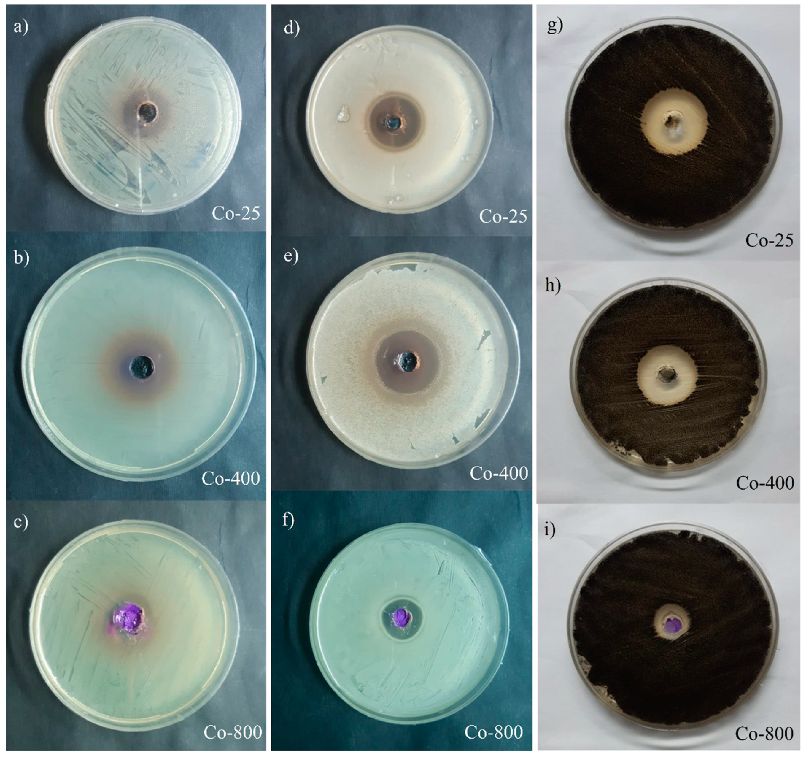 Chemistry 07 00087 g011