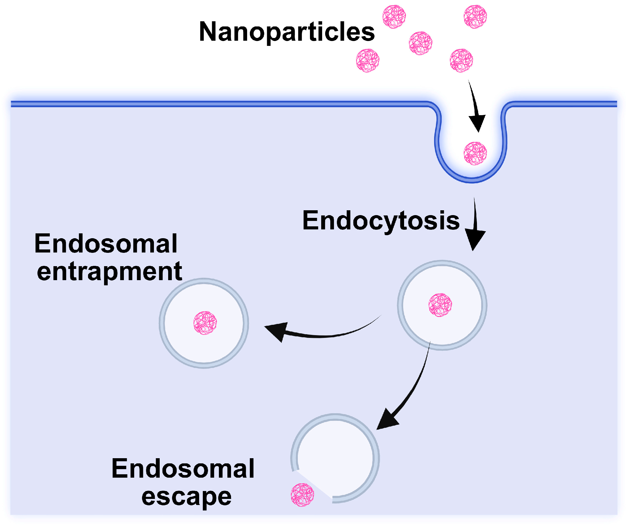 Chemistry 07 00097 g002