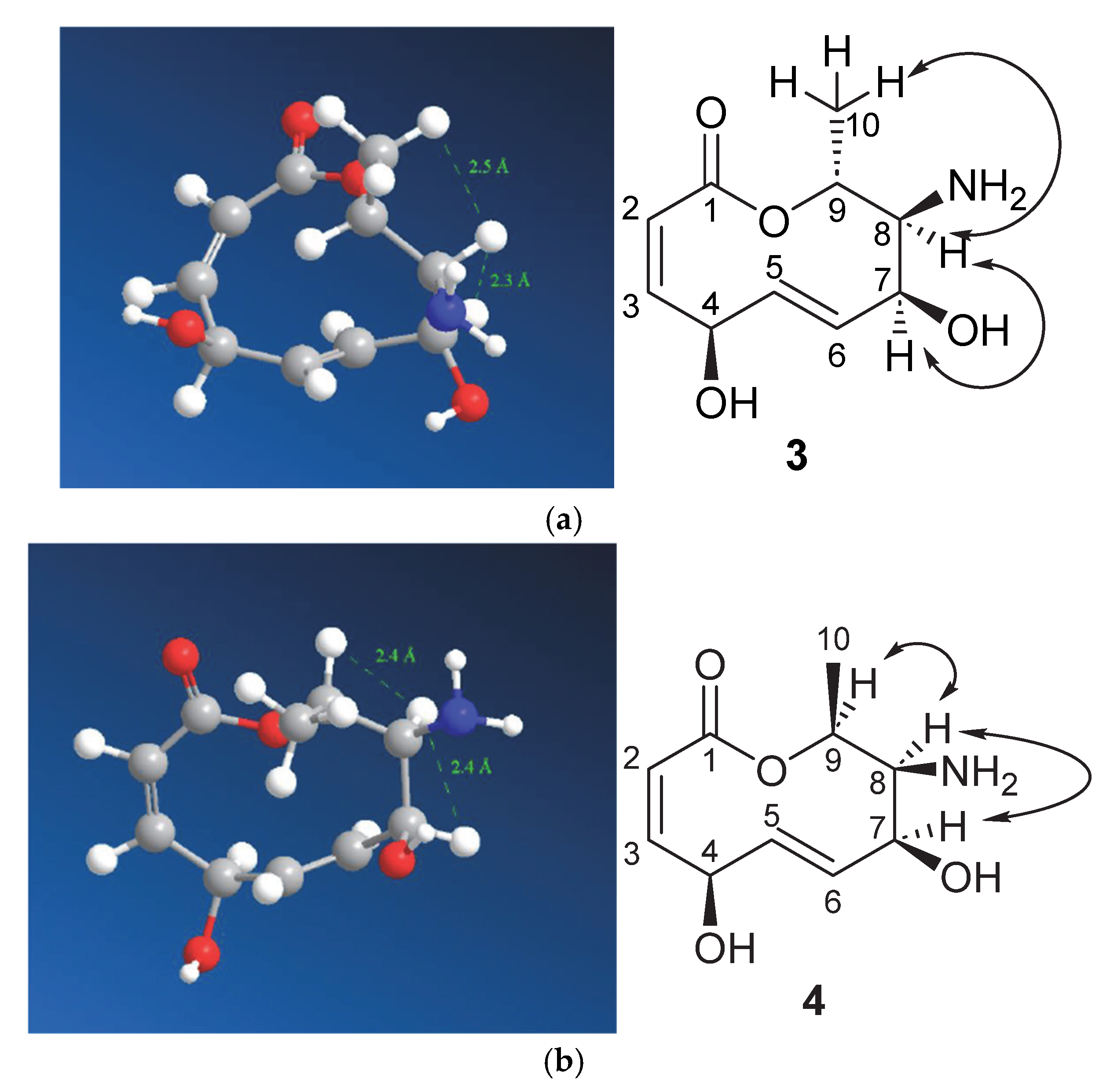 Chemistry 07 00101 g007