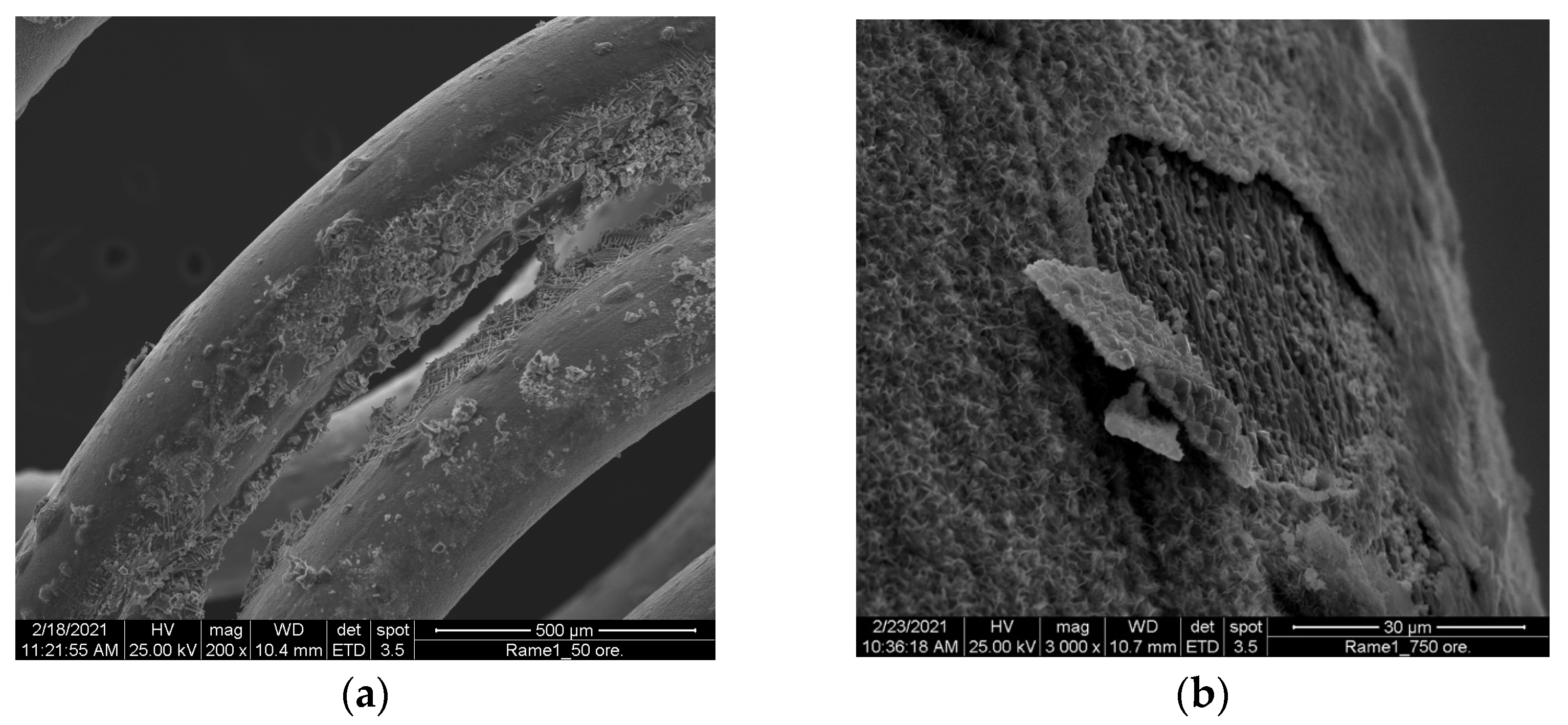 Chemistry 07 00104 g005