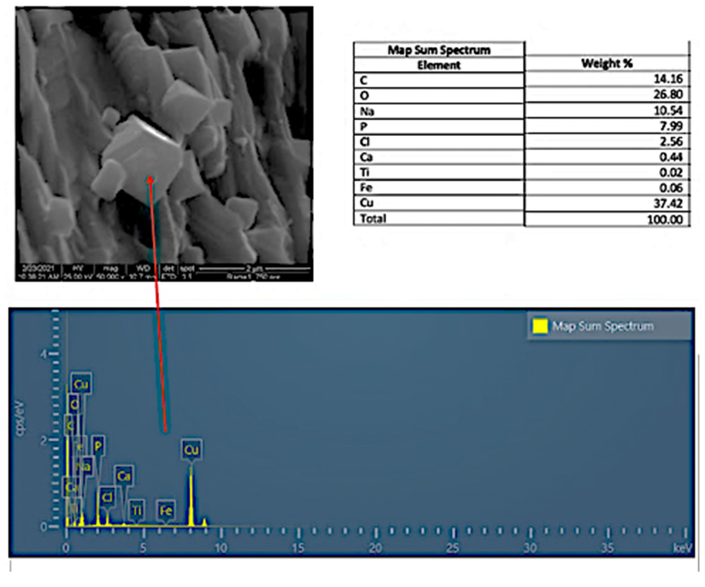 Chemistry 07 00104 g006