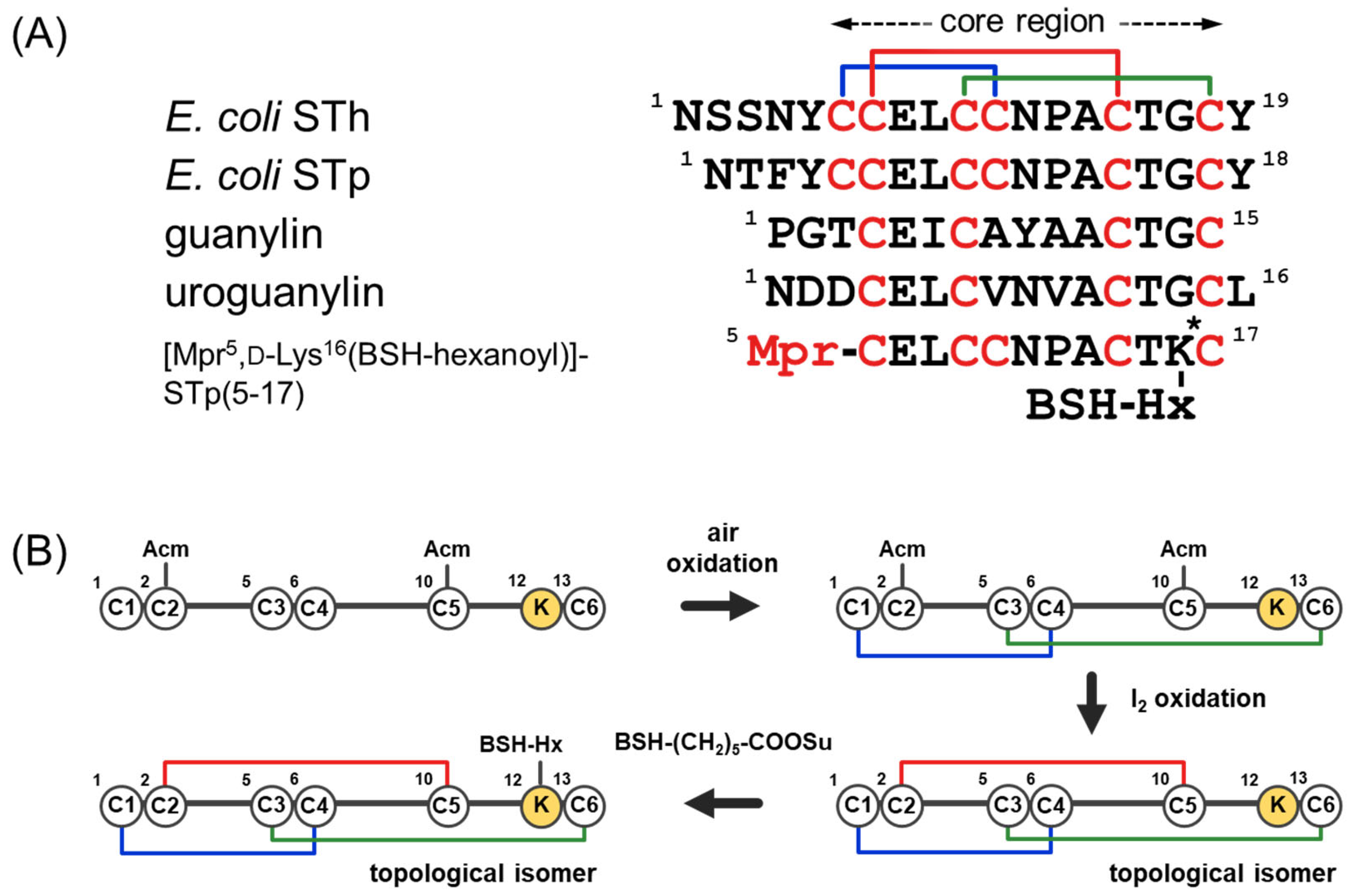 Chemistry 07 00111 g001