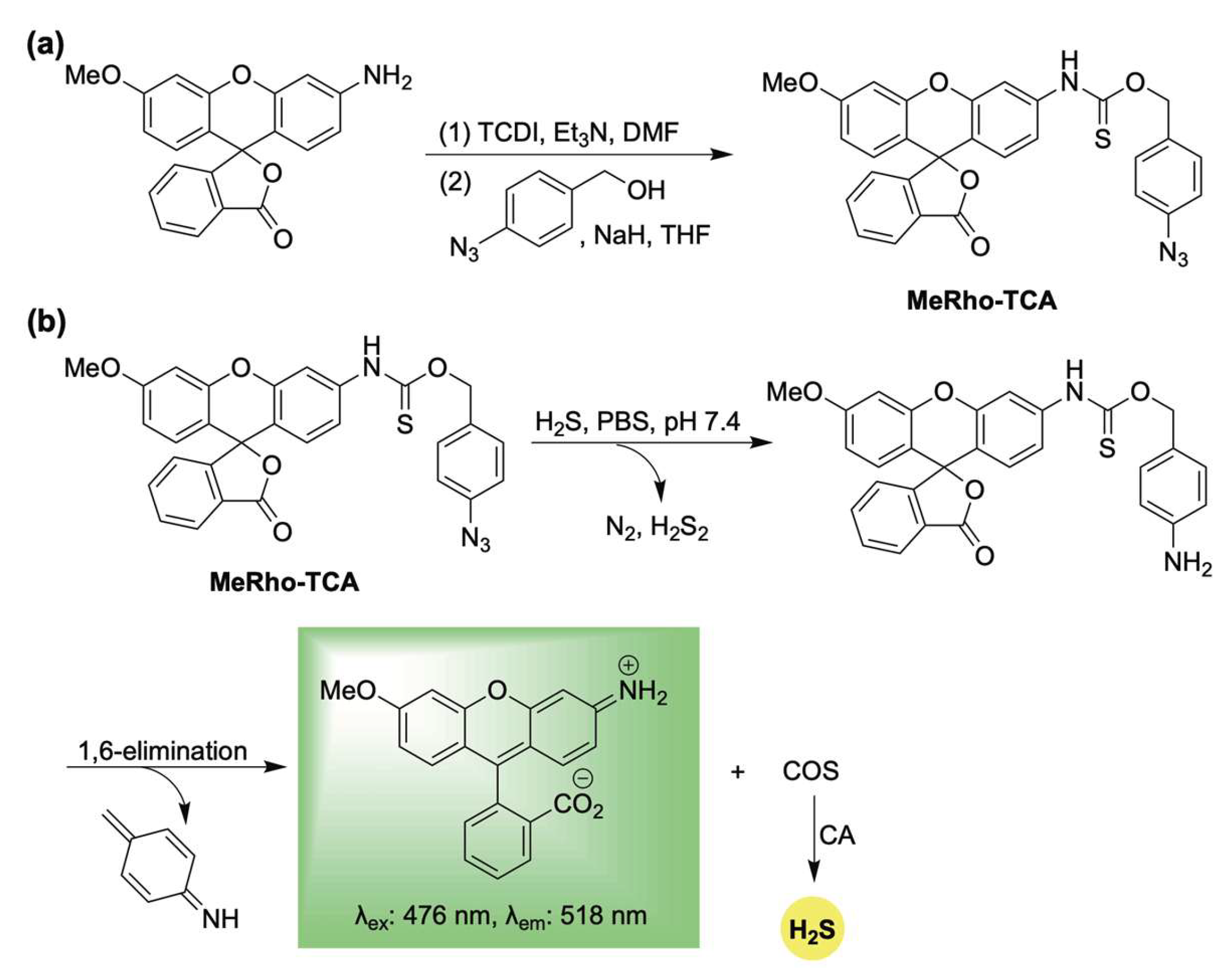 Chemistry 07 00116 sch001 Chemistry 07 00116 sch001