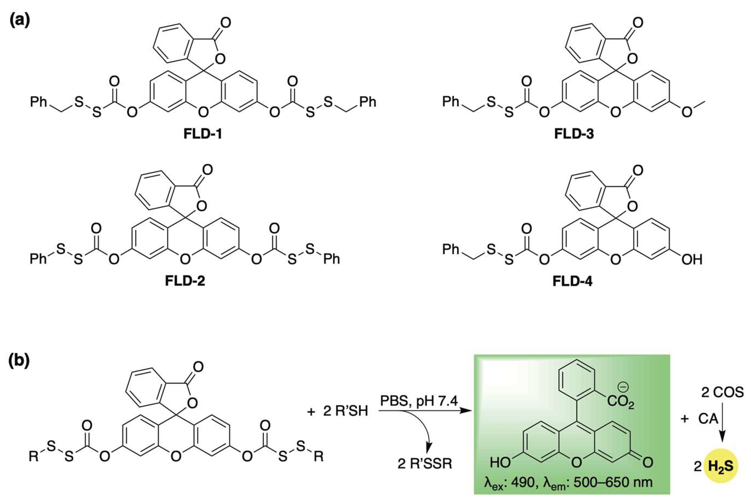 Chemistry 07 00116 sch002 Chemistry 07 00116 sch002