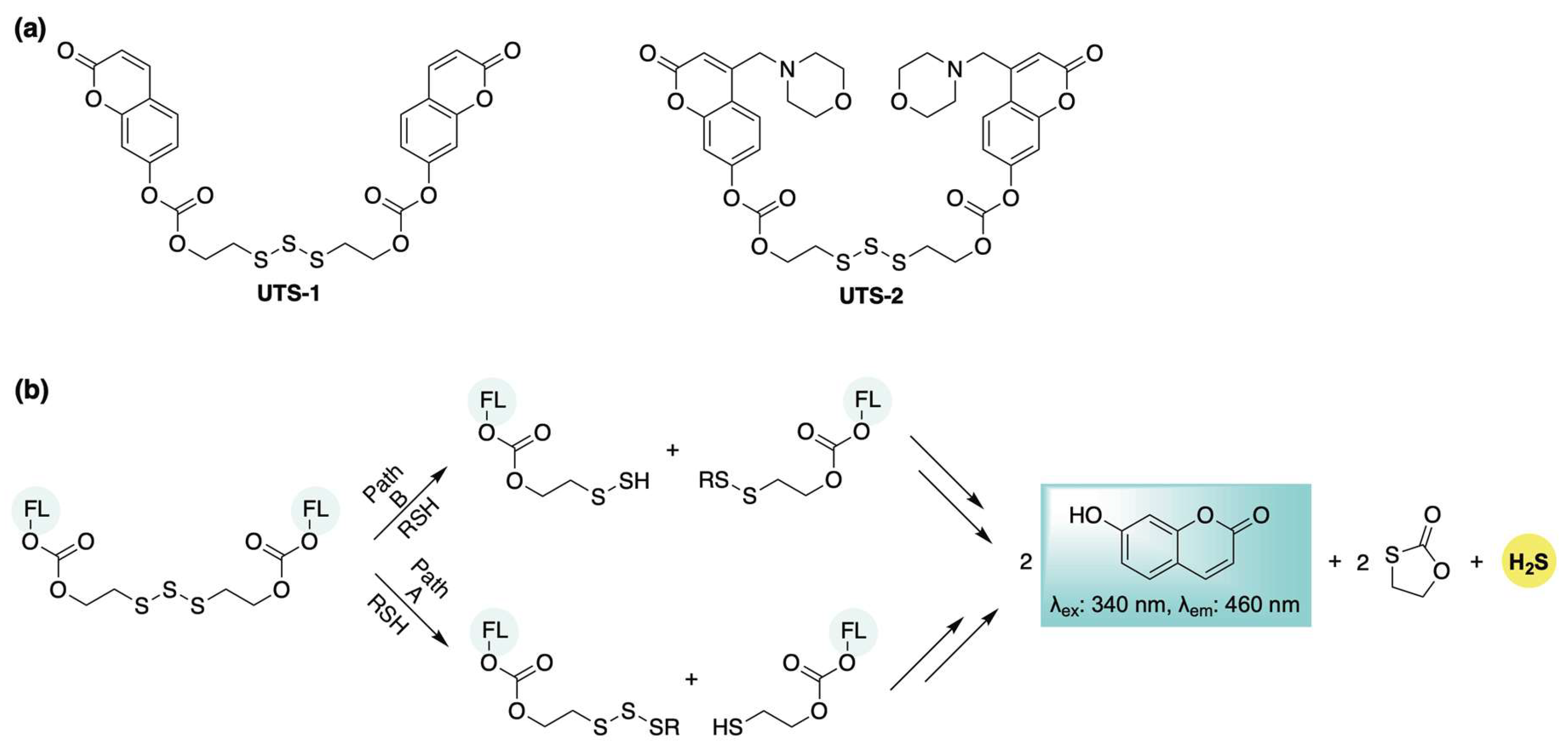 Chemistry 07 00116 sch003 Chemistry 07 00116 sch003