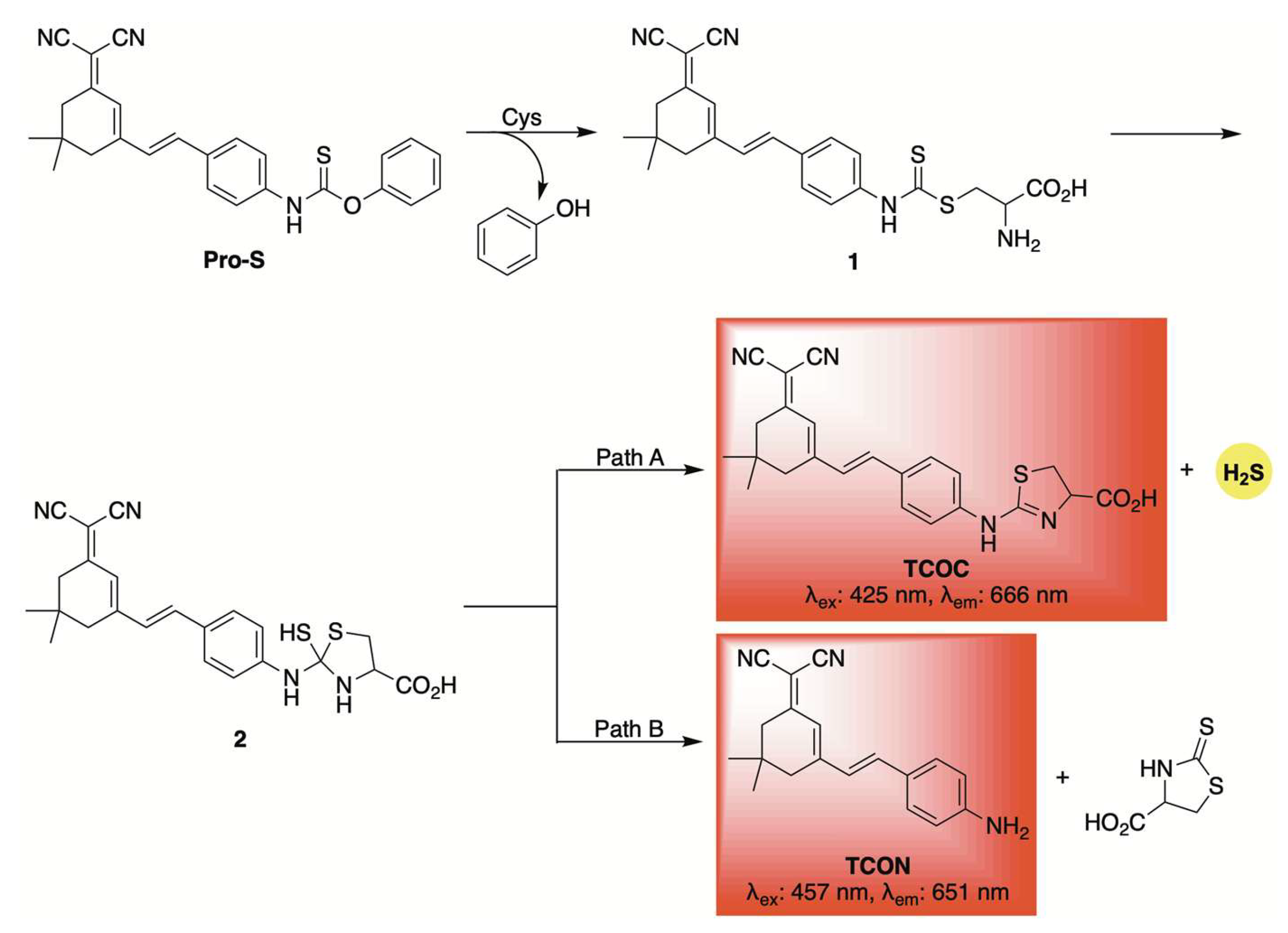 Chemistry 07 00116 sch005 Chemistry 07 00116 sch005