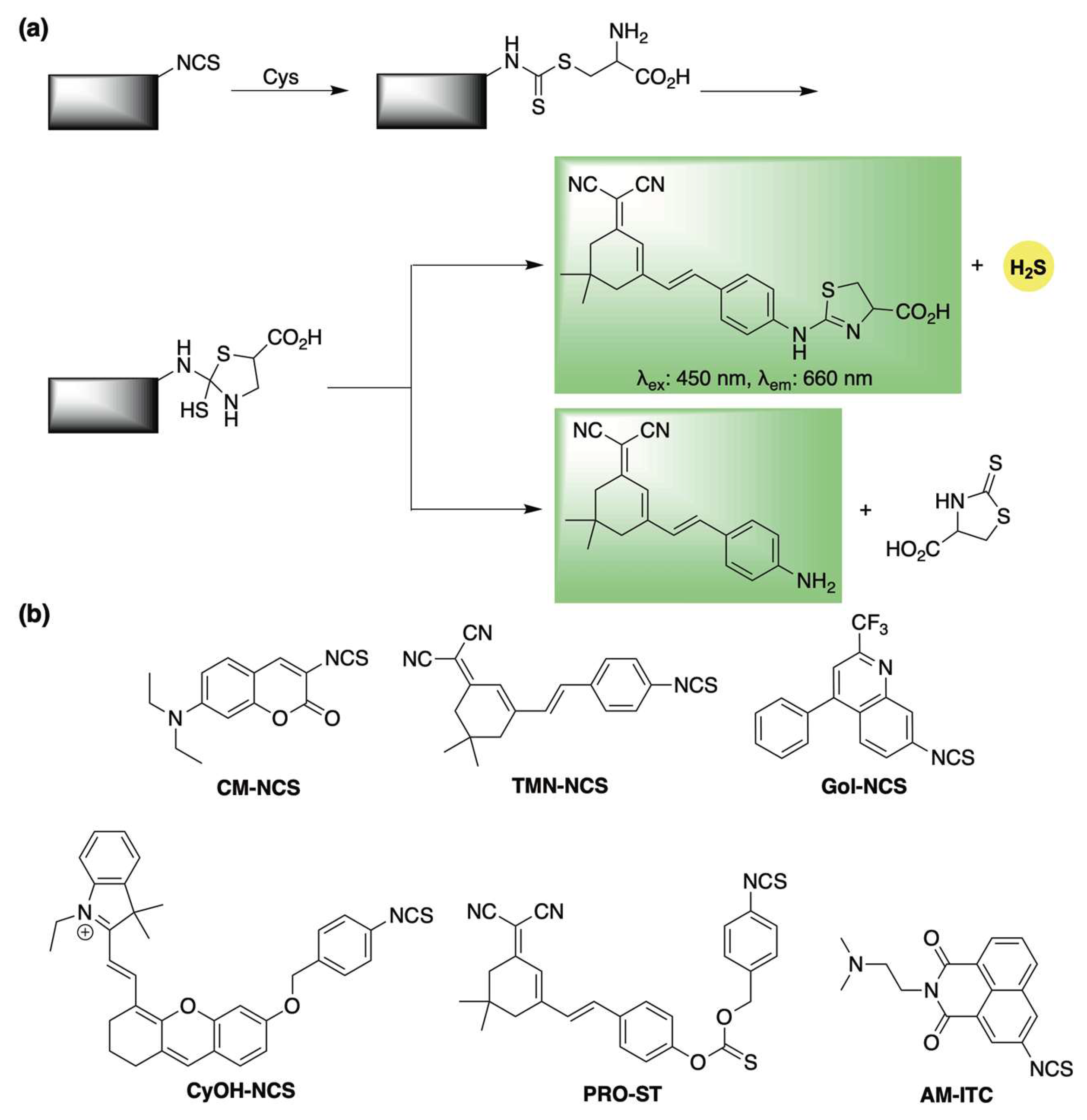 Chemistry 07 00116 sch006 Chemistry 07 00116 sch006