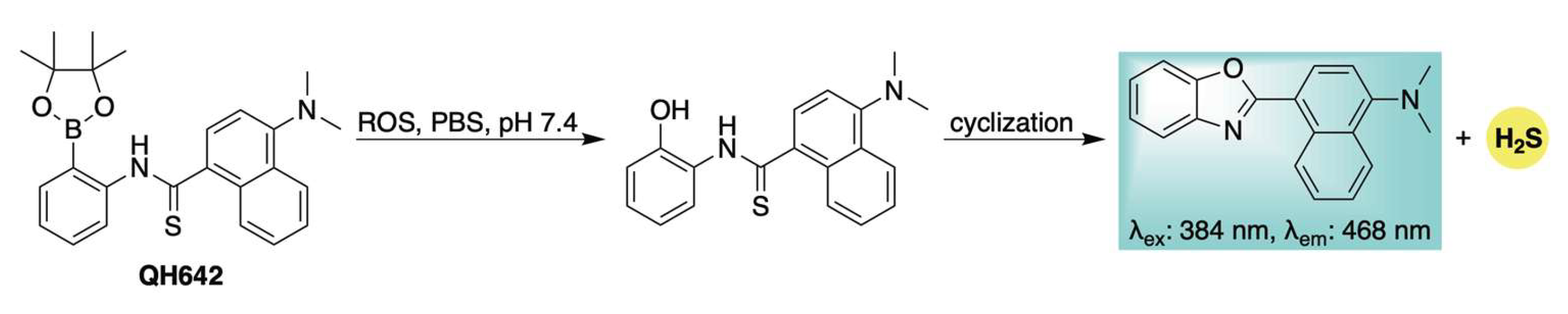 Chemistry 07 00116 sch010 Chemistry 07 00116 sch010