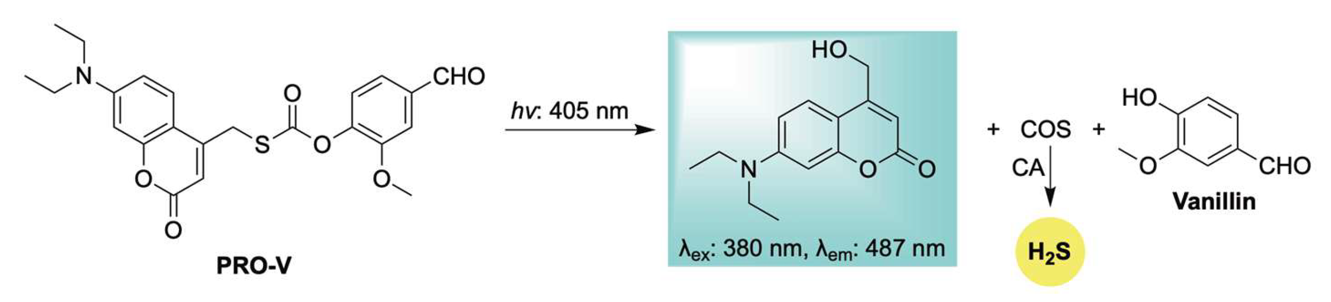 Chemistry 07 00116 sch013 Chemistry 07 00116 sch013