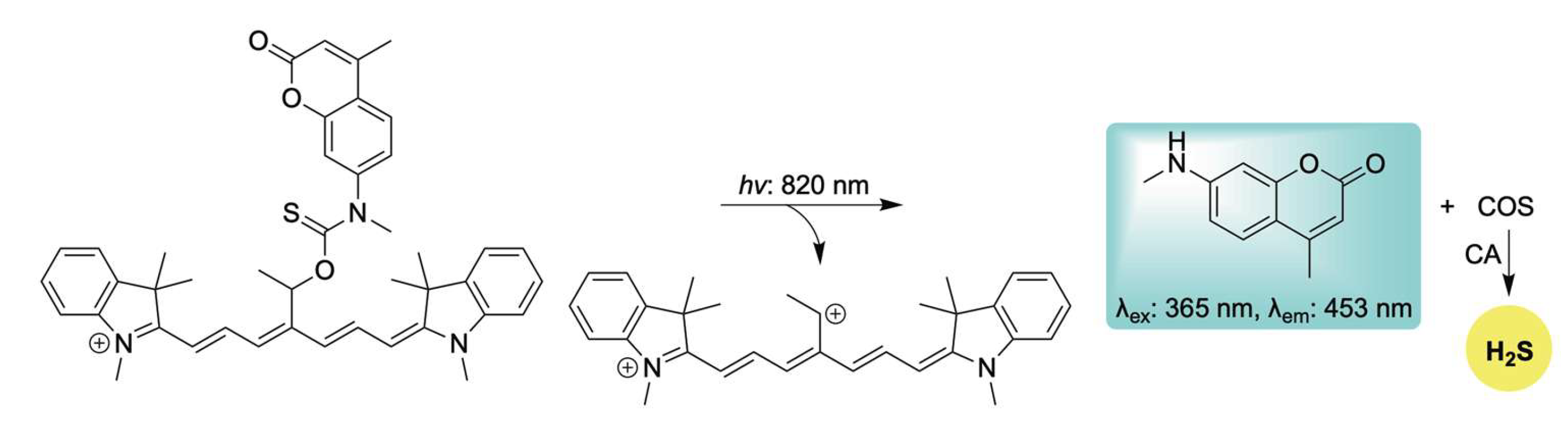 Chemistry 07 00116 sch014 Chemistry 07 00116 sch014