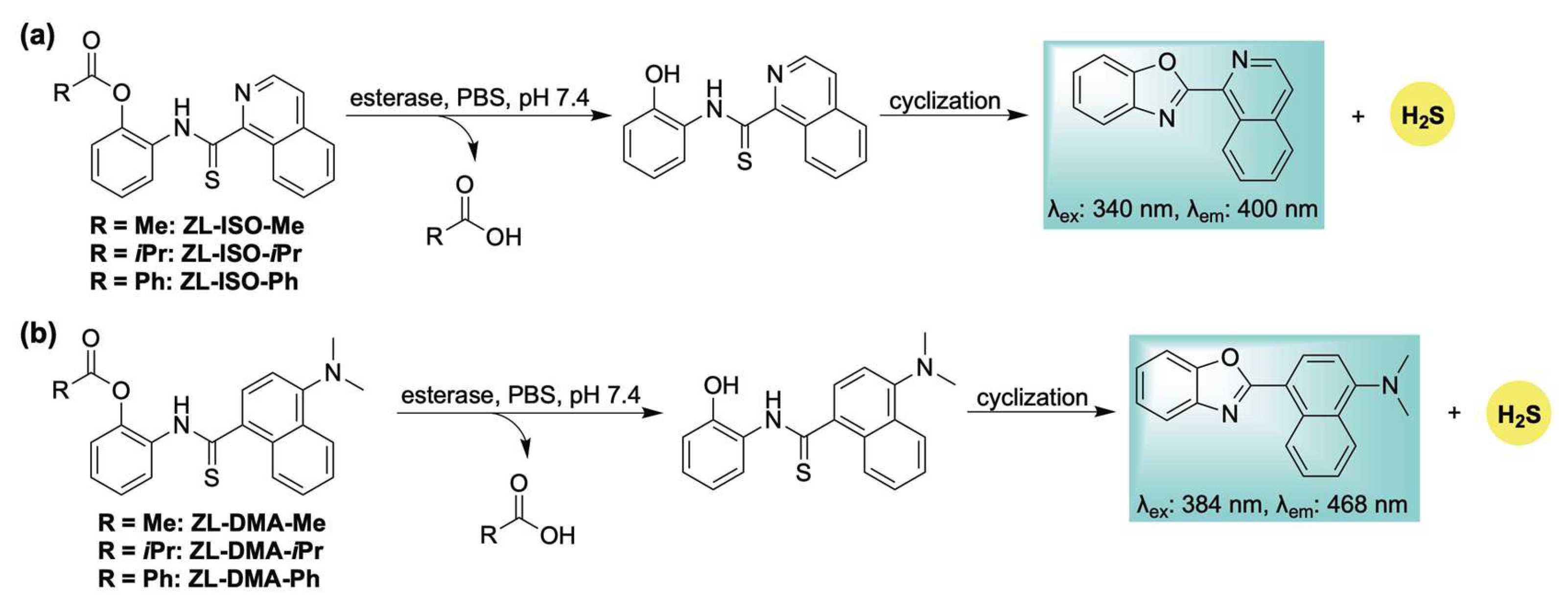 Chemistry 07 00116 sch016 Chemistry 07 00116 sch016