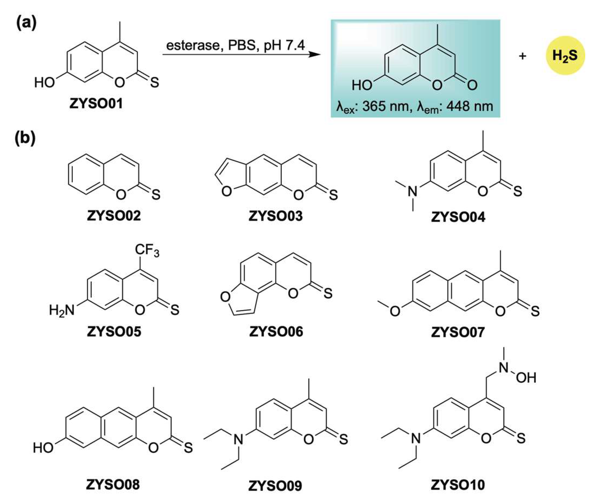 Chemistry 07 00116 sch017 Chemistry 07 00116 sch017