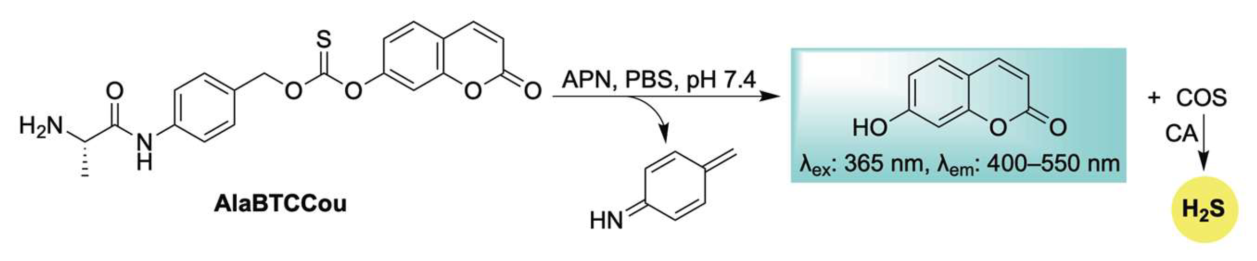 Chemistry 07 00116 sch018 Chemistry 07 00116 sch018