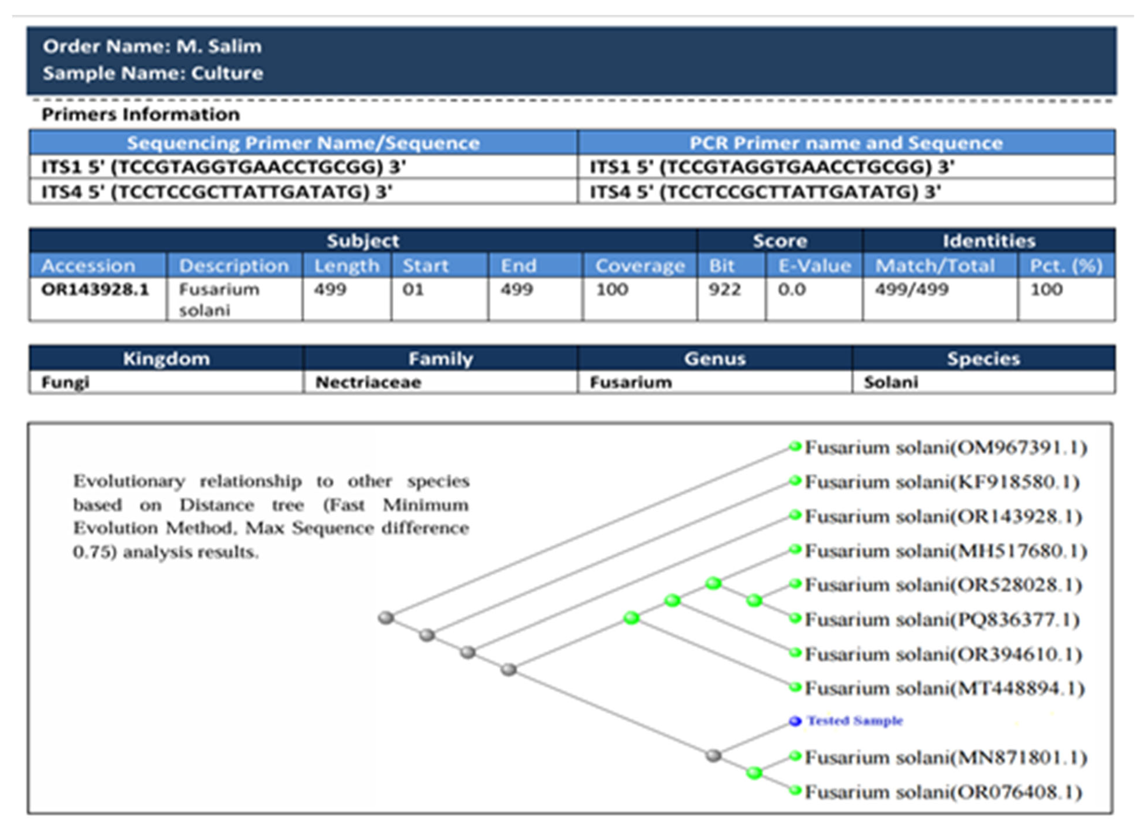 Chemistry 07 00130 g002