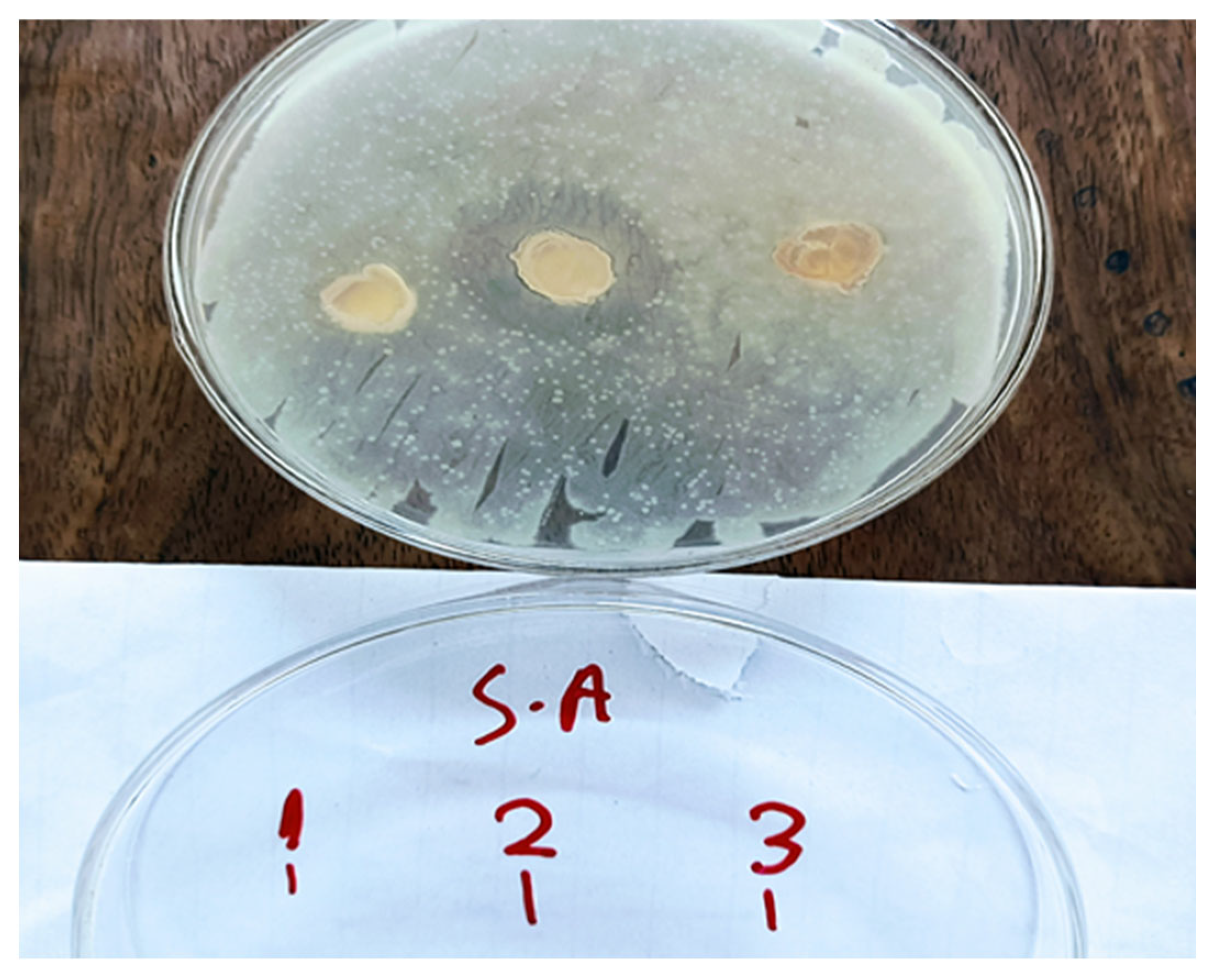Chemistry 07 00130 g003