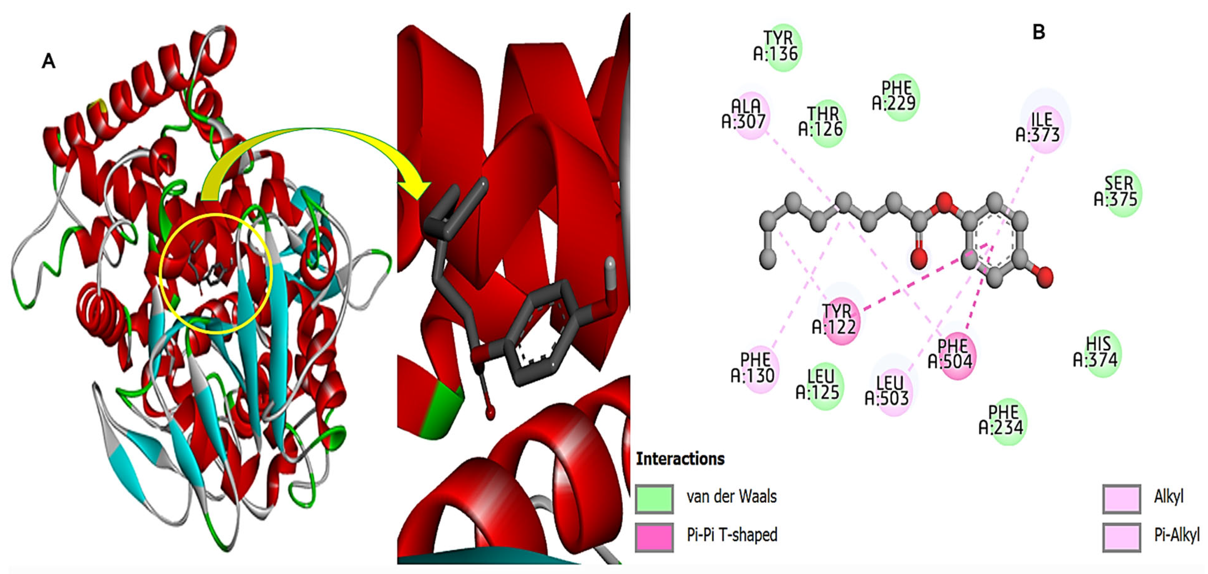 Chemistry 07 00130 g010