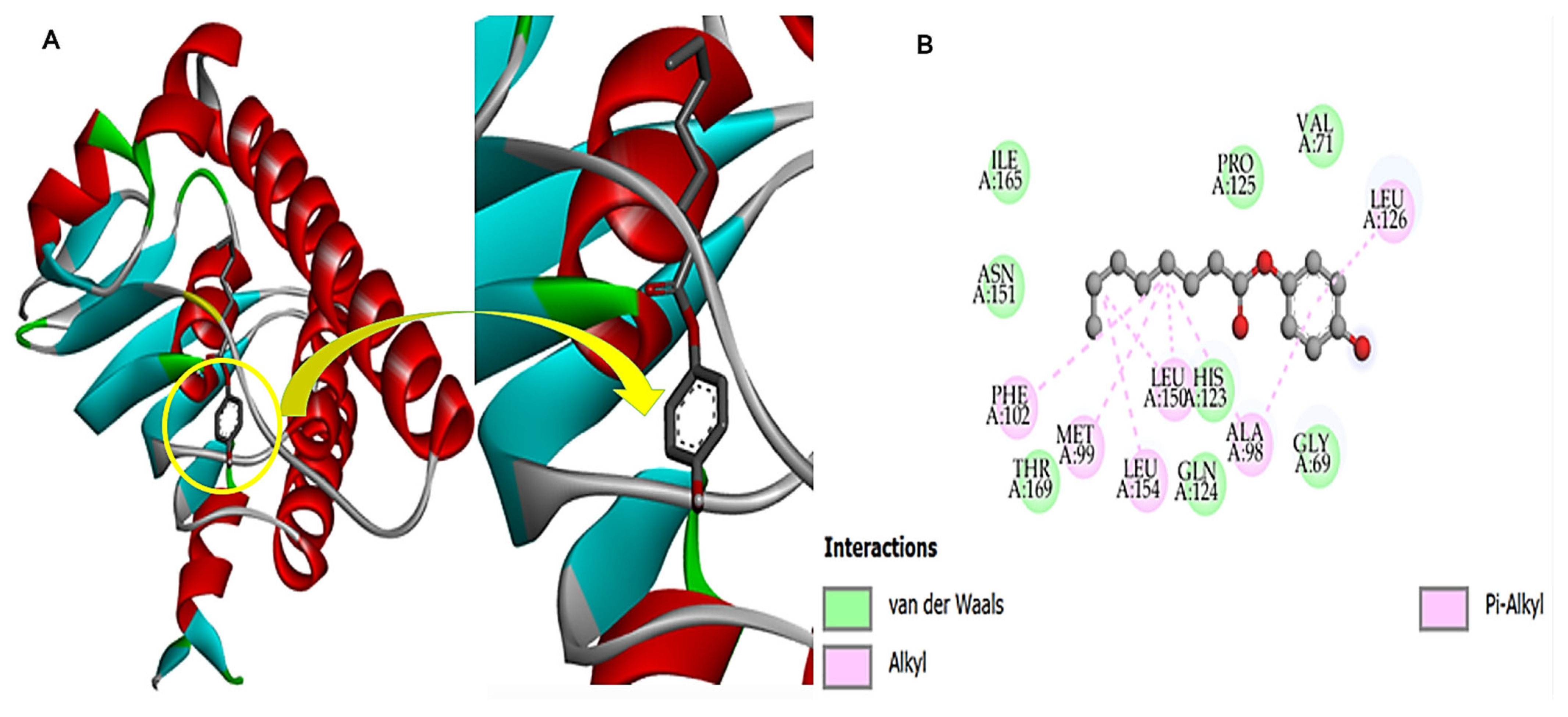 Chemistry 07 00130 g011