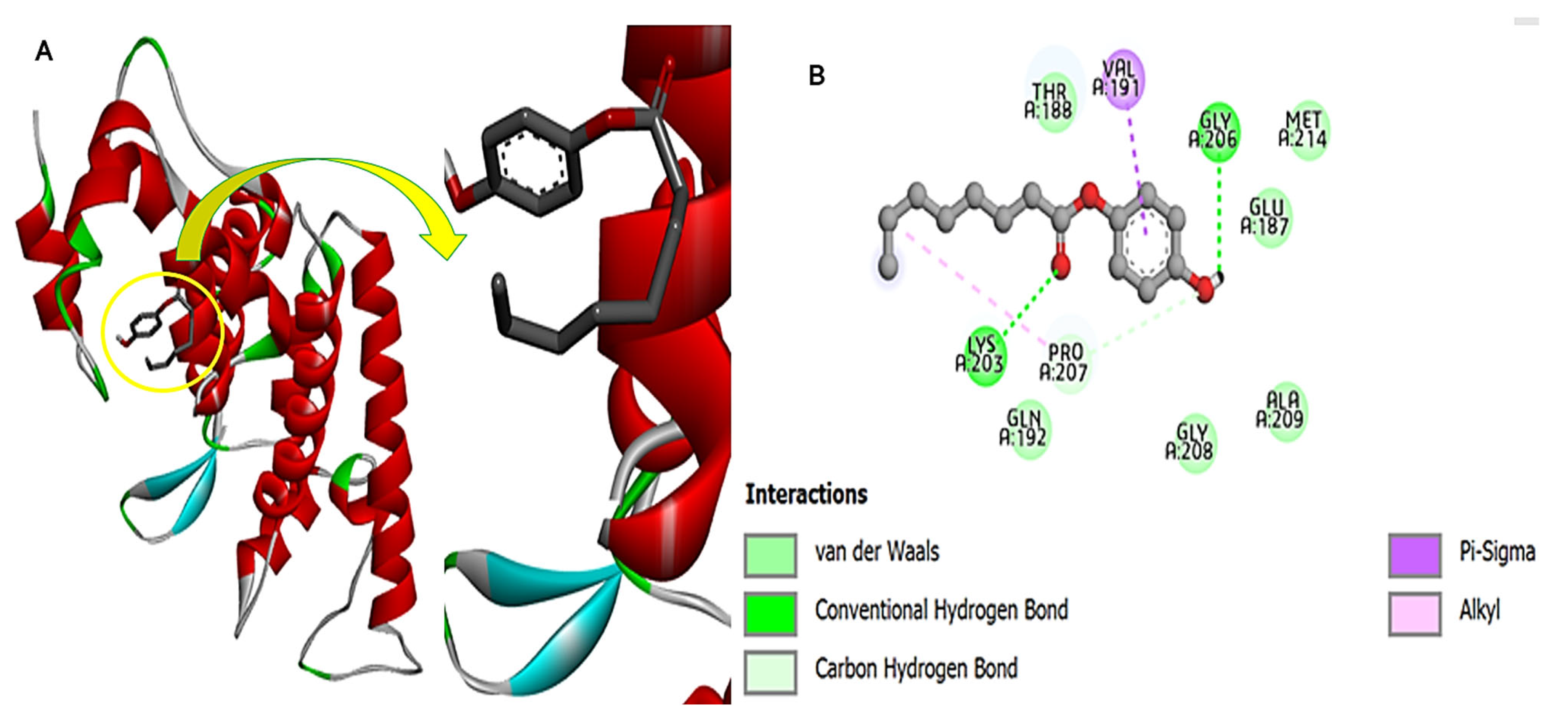 Chemistry 07 00130 g012