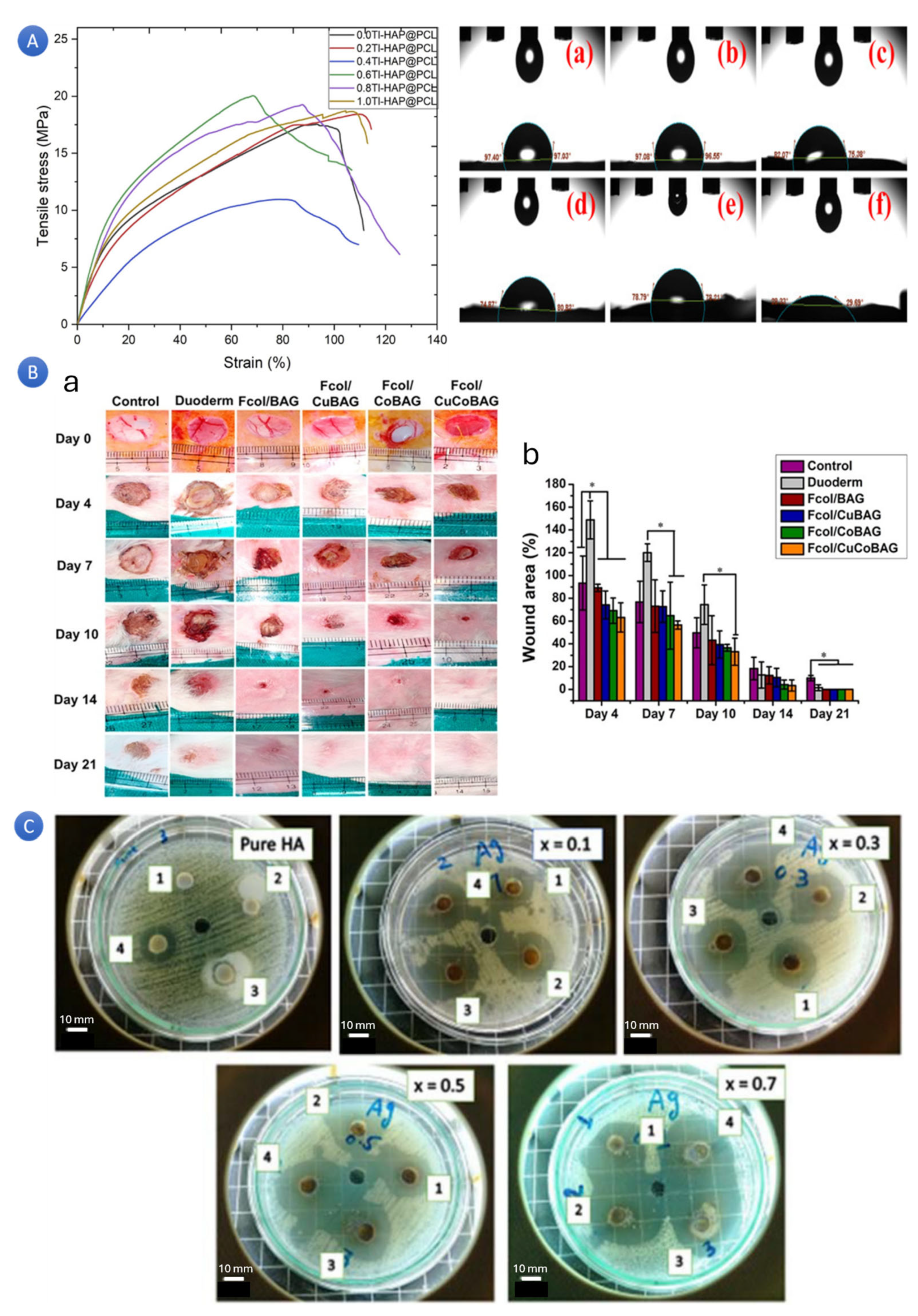 Chemistry 07 00137 g005