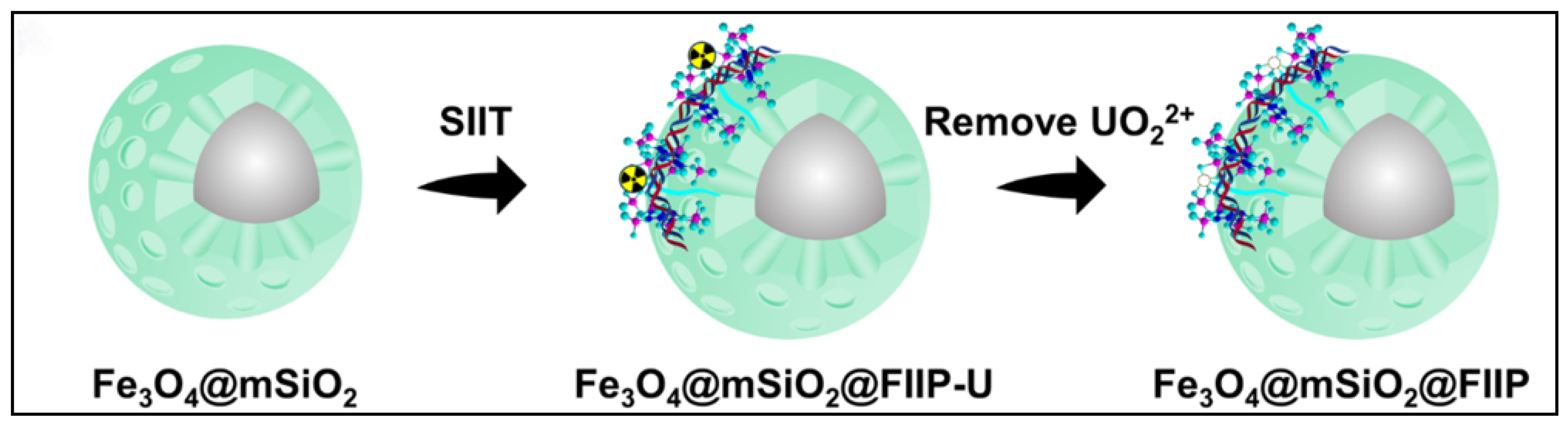 Chemistry 07 00142 g003