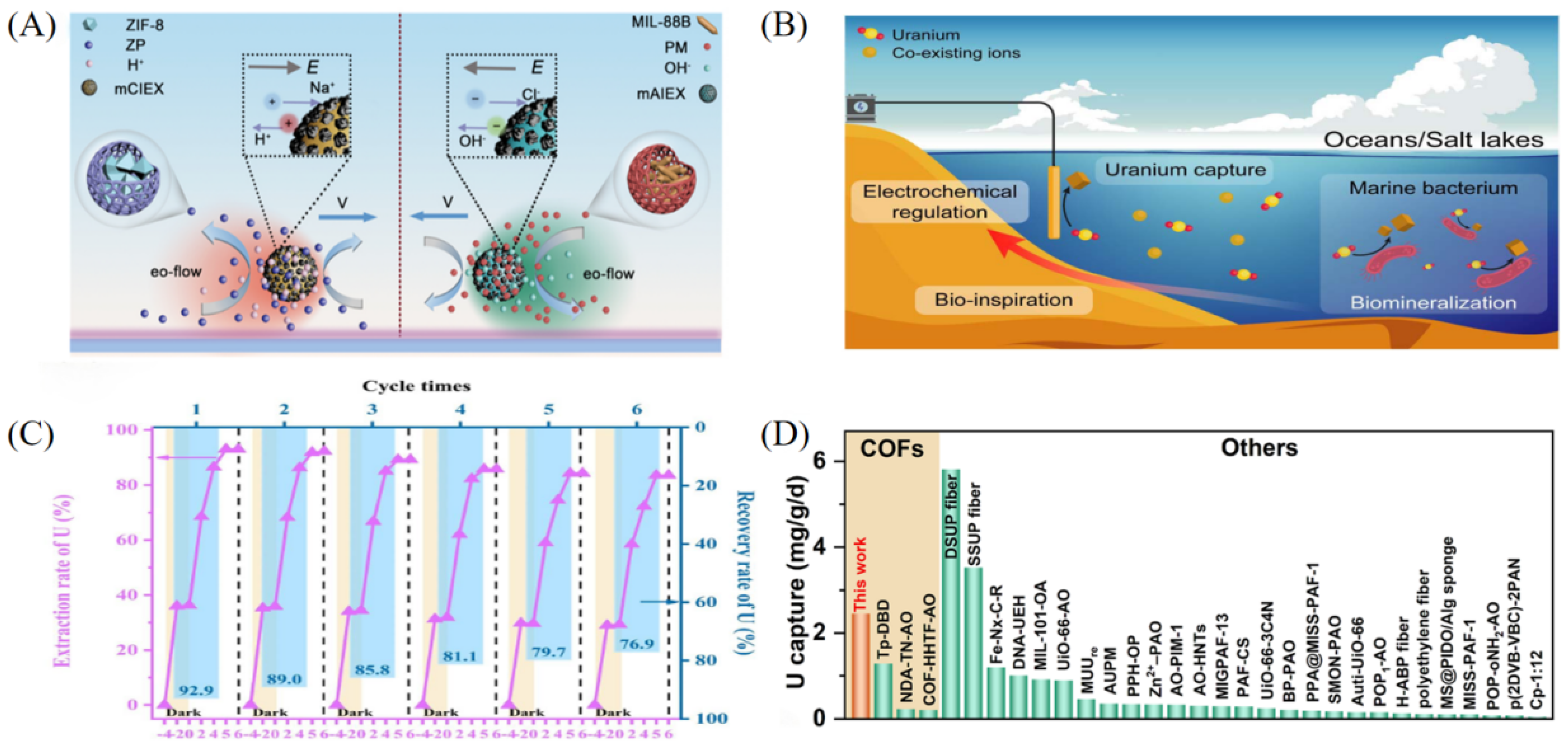 Chemistry 07 00142 g005